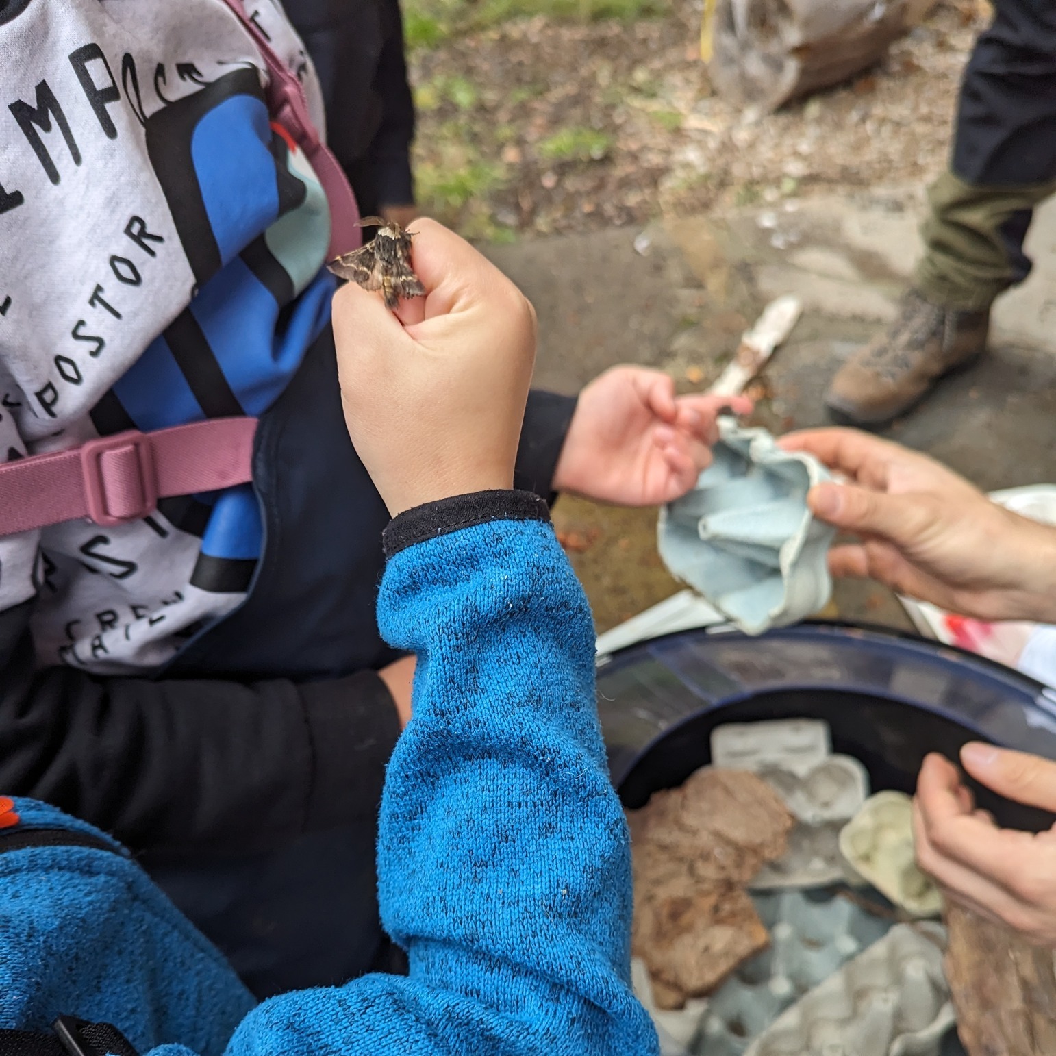 We are proud to announce that we have a new "Accessibility and Inclusion" section on our website, as well as a page for frequently asked questions.
Nature is for everyone, and we know that many people face extra barriers to getting outside and enjoying nature, so we want to make it as easy as we can to come and join us!
Our hope is that young people, families, and teachers can read these sections of the website, know what to expect, and feel more comfortable coming to Aigas.
You can find the link to our website in our bio.
.
.
.
#Website #Acessibility #Inclusion