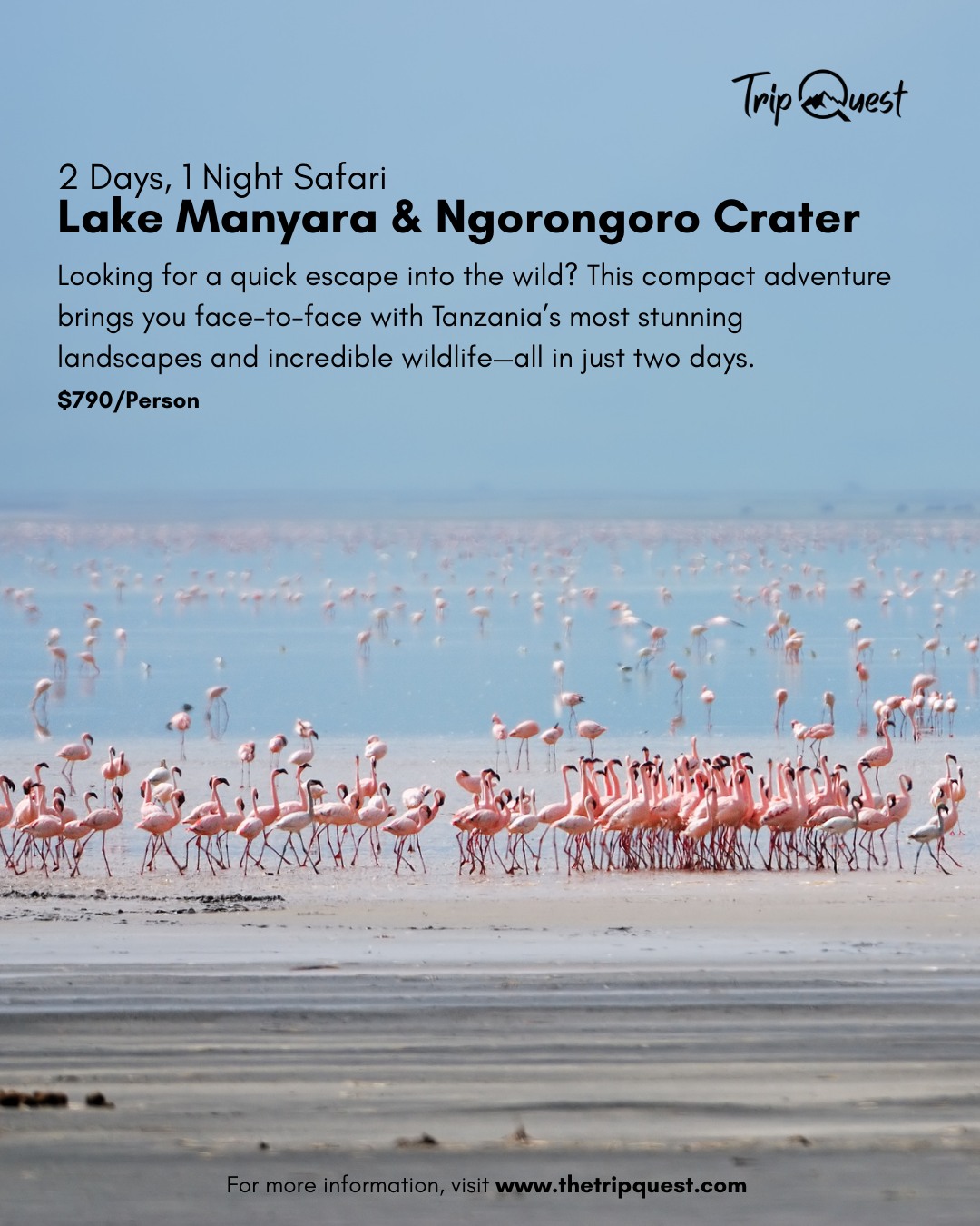 This is a prefect adventure for our tight schedule! 🦓
#ExploreArusha #TripQuest #wildAfrica #safariadventure #africatravel #africatour #KenyaSafari #NgorongoroSafari #WildlifeAdventures #TanzaniaTravel