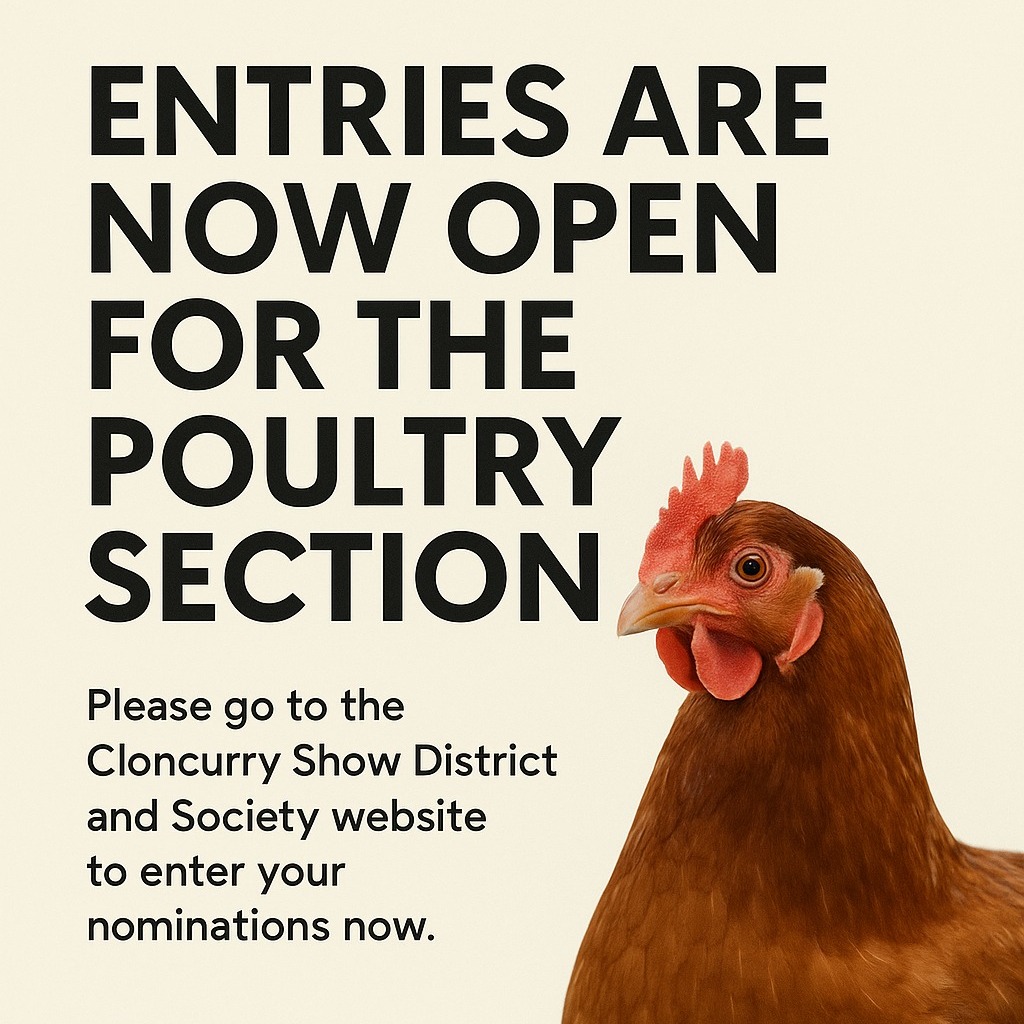https://www.cloncurryshow.com.au/projects/poultry