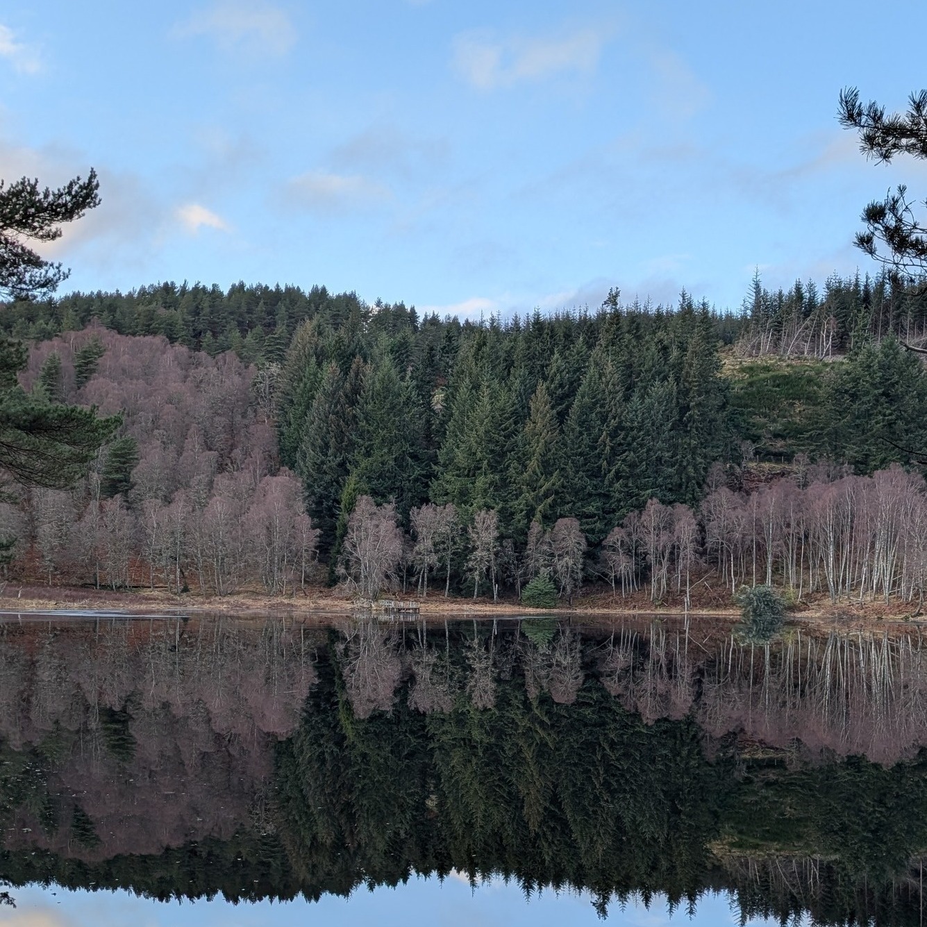 It has been great to welcome new members to our alternative education groups over the past few weeks, and to see familiar faces again after our winter break. ❄
We spent our first sessions back exploring round the loch and the woods. 🌳