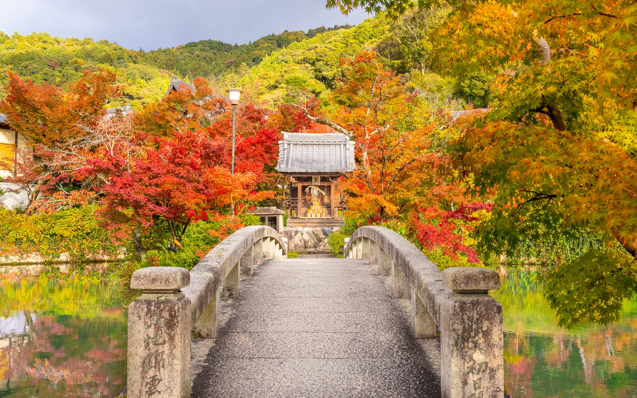 Kyoto in November is unreal. Like, every corner is exploding with color. Red leaves, golden temples, reflections everywhere. It’s honestly one of the most photogenic places I’ve ever been in autumn. If you’re into color and calm, you are welcome to join us this November!
Shot with Sony A7RV with 16-35 GMII