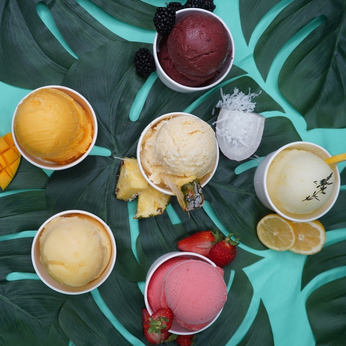 Say Aloha to our flavor lineup!🌴🌞
✨Blackberry Bliss
🍋Loopy Lemon Thyme
🍍🥥Pina Colada
🥭Magic Mango
🍓Sassy Strawberry
🌟Poppin Passionfruit
Which flavor are you grabbing first? Tell us below! 👇🌴