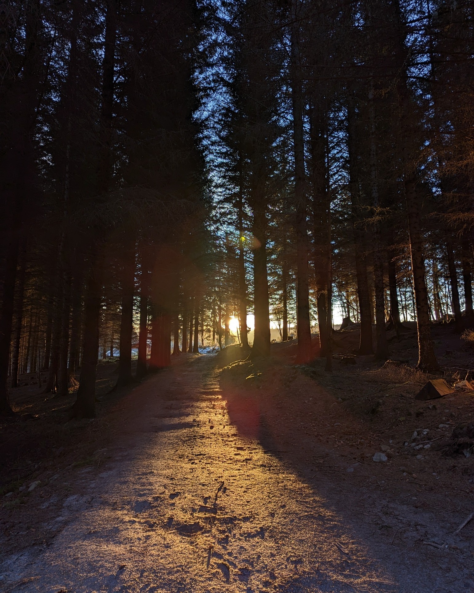 Today is the spring equinox, when the Sun crosses the equator, and day and night are roughly equal in length. From now on, our days will be longer than nights. Those long, summer days are just around the corner! ☀
.
.
.
#SpringEquinox #Equinox #Spring