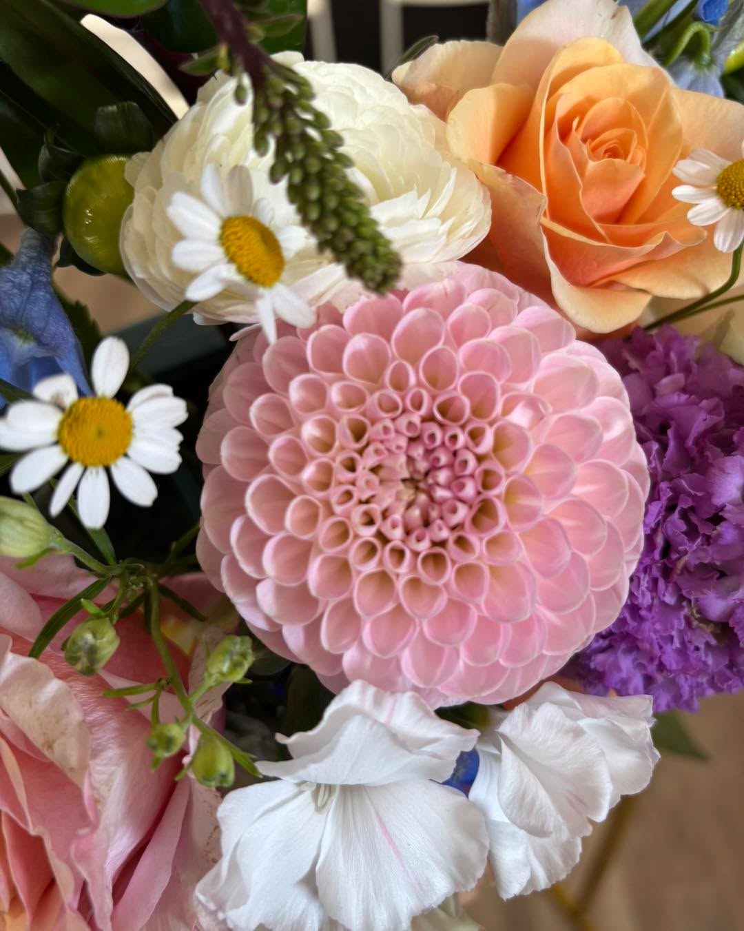 Tonight we were lucky enough to help my favorite nephew named Coulson and his bride to be, Hailey Celebrate their wedding tonight!
Congratulations and best of luck to you both!
hazel.floralcompany
www.northernutahphotobooths.com
____________________________________
#photobooth #nupb #northernutahphotobooth #wedding #party #corporateevents #custombuilt #followme #love #happy #photooftheday #photoboothforrent #photoboothforsale #instagood #cool #fun #bestoftheday #work #dance #photoboothlife #360booth #videobooth
#sweet16