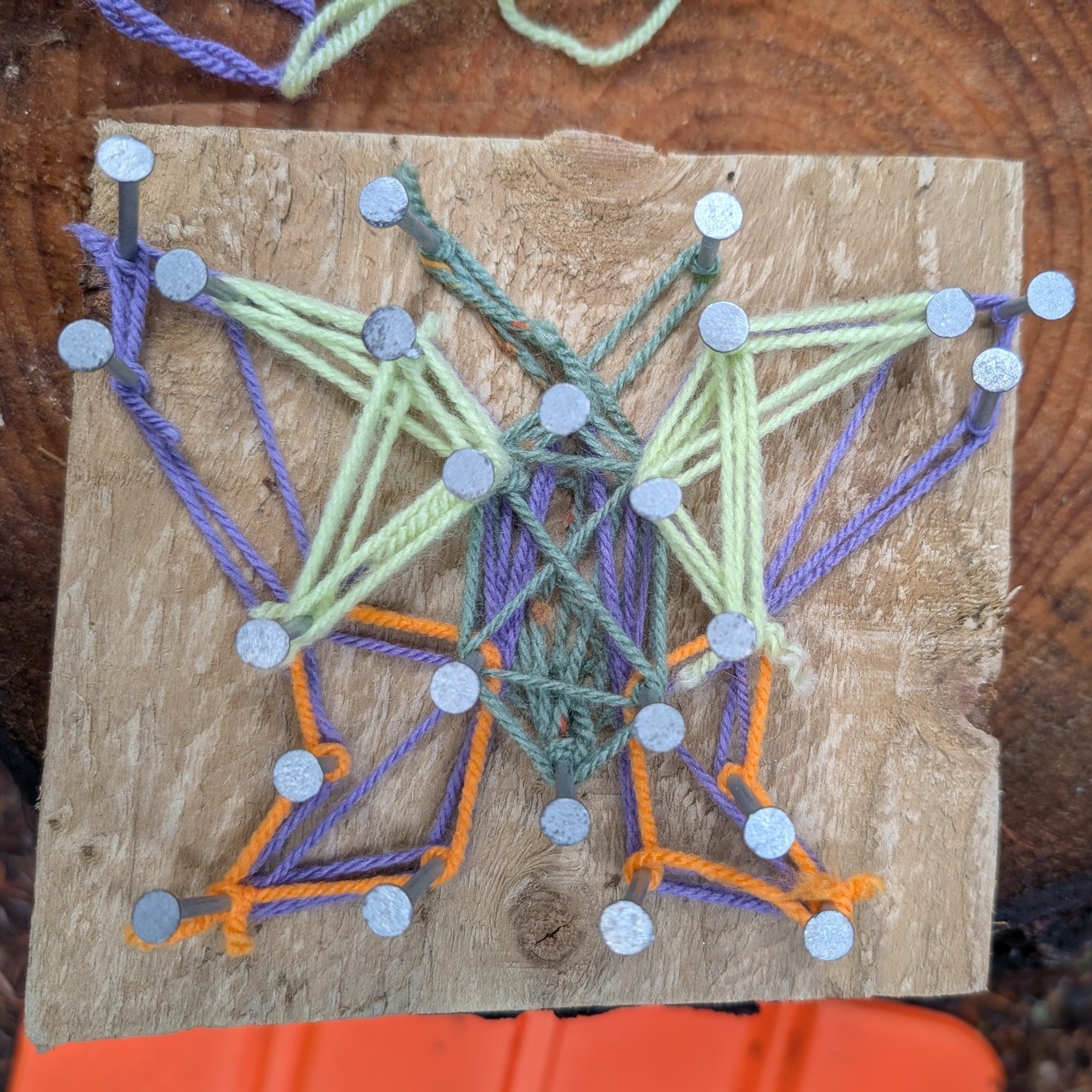 Over the past few weeks our alternative education groups have been practising their hammering skills, making some nail weaving art. 🔨
The groups have also been trialling some new games that we have designed, and have visited our Wildcat hide. 🐱
.
.
.
#Aigas #EnvironmentalEducation #AlternativeEducation #HomeEd #NaturedaysAtAigas #AigasFieldCentre #Wildlife #WildlifeEducation #WildlifeDiscovery #WildlifeDetectives #NatureDetectives #OutdoorEducation #NatureEducation #DiscoverNature #Nature_Lovers #Highlands #Scotland