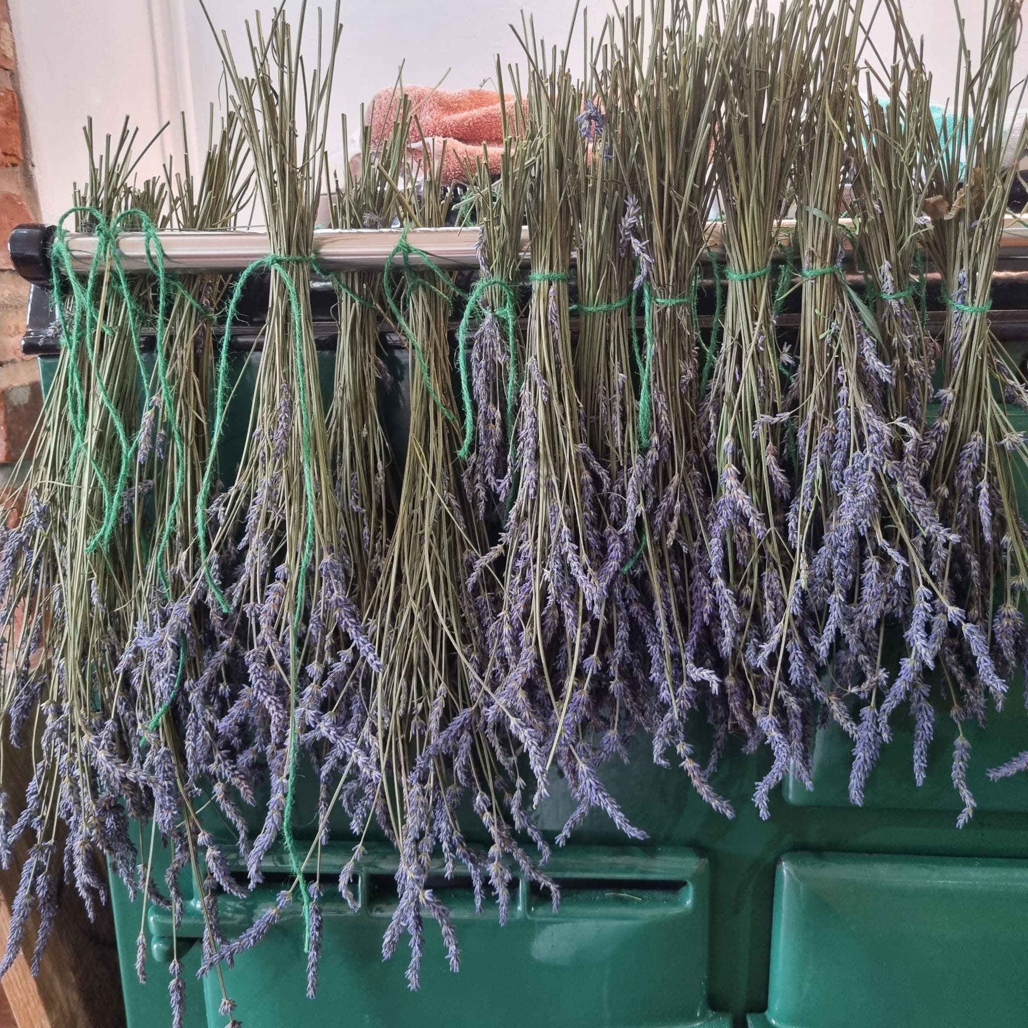 Pop into our little shop and you’ll find bunches of lavender, all grown and dried right here on the farm 💜 They brighten up the shelves and smell absolutely delicious.
Hannah making more beautiful dried lavender wreaths soon—so keep an eye out if you're after something a bit special for your home 🌿✨