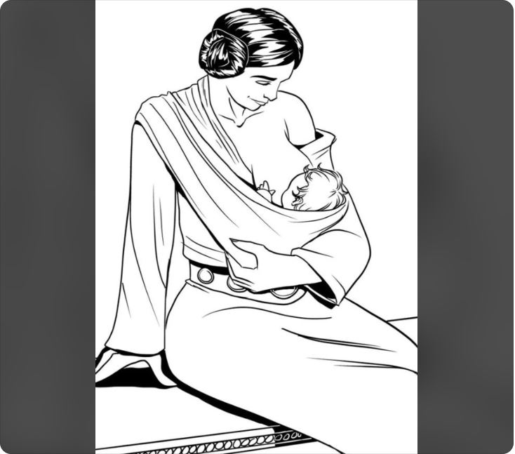 May the Fourth be with you, mama! ⨠The days are long, yet the years are short. Light speed, in fact.
Photo credit: r/breastfeeding