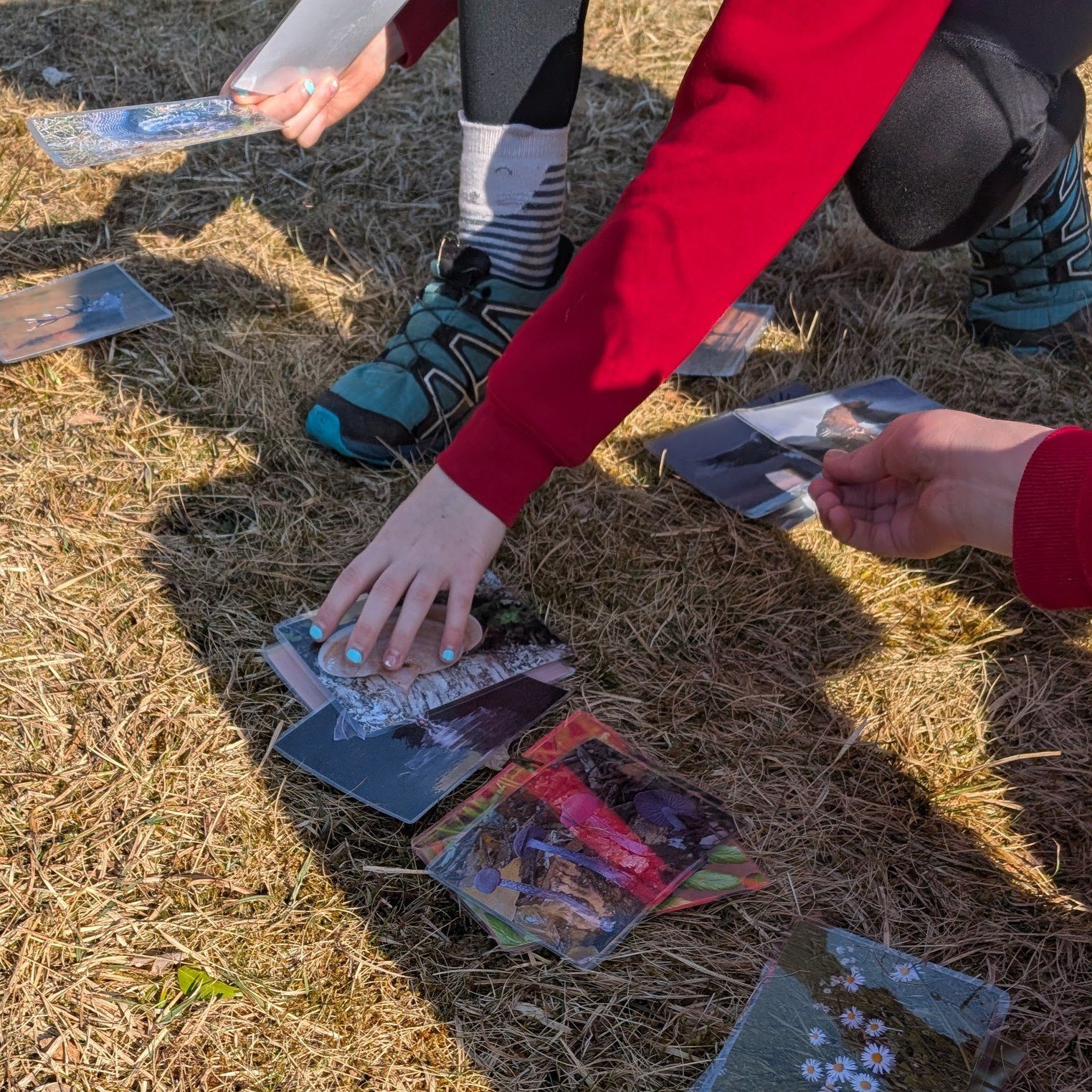 This week, we delivered the first sessions of our 2025 school outreach programme. Our outreach themes this year are "Diversity in Nature" and "Rivers: from Source to Sea". We're looking forward to visiting lots more schools over the next few months!