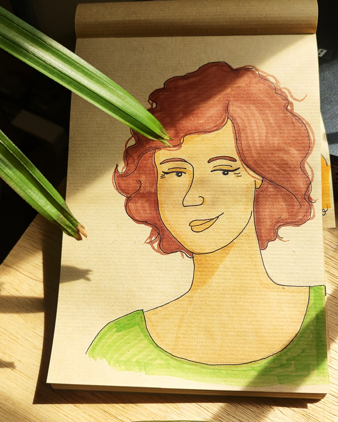 Graziela Maciel Barroso foi uma das maiores referências da botânica no Brasil, com mais de 25 espécies vegetais batizadas em sua homenagem.
Primeira mulher naturalista do Jardim Botânico do Rio de Janeiro, ela dedicou sua vida à sistemática vegetal, classificando plantas de diversas regiões do país e formando gerações de pesquisadores. Mesmo sem formação universitária inicial, sua paixão pela ciência a levou a uma carreira acadêmica brilhante, com publicações importantes, como a obra Sistemática de Angiospermas do Brasil, adotada em universidades de todo o país. Graziela só ingressou na faculdade aos 47 anos, mas já era reconhecida por seu trabalho pioneiro e pela orientação de jovens cientistas.
Sua trajetória foi marcada por desafios e conquistas, desde seu início como estagiária no Jardim Botânico até o recebimento de prêmios internacionais, como o Millennium Botany Award, e homenagens culturais, como o desfile da Unidos da Tijuca em 1997. Viúva aos 37 anos, ela superou barreiras de gênero em um campo dominado por homens, tornando-se um ícone da ciência brasileira. Graziela deixou um legado de conhecimento e inspiração, sendo lembrada como uma das maiores naturalistas do país.
#GrazielaMacielBarroso #BotânicaBrasileira #CiênciaNoBrasil #JardimBotânico #MulheresNaCiência #SistemáticaVegetal #LegadoCientífico #FloraBrasileira #galeriaextraordinaria #diamundialdomeioambiente #meioambiente #pldadevastacao