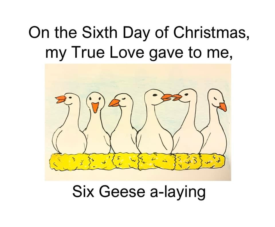 (Late) On the sixth day of Christmas
😁