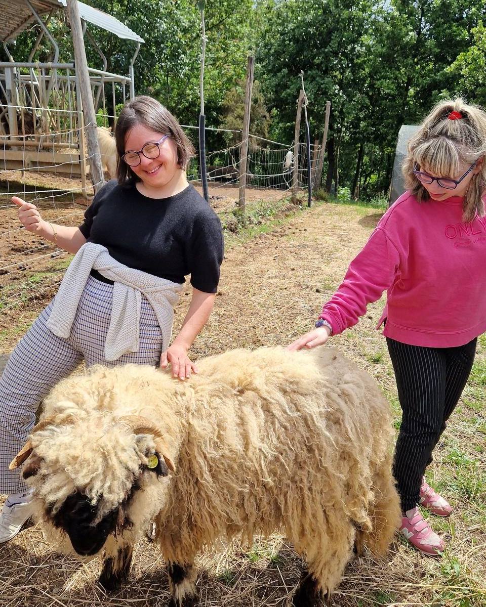 🌟 GRAZIE DI CUORE, SUPEREROI! 🌟
Qualche giorno fa la nostra fattoria ha brillato di una luce speciale grazie alla visita dei ragazzi dell’#anffas 💙
Con la vostra dolcezza, la vostra forza e i vostri sorrisi contagiosi, ci avete regalato una giornata piena di emozioni vere. Siete fragili solo per chi non sa guardare bene… noi vi abbiamo visti per quello che siete: dei veri SUPEREROI! 🦸♀️🦸♂️
Grazie per aver condiviso con noi il vostro tempo e la vostra energia. Vi aspettiamo presto per nuove avventure tra natura, animali e amicizia! 🐐🌿🐓
#Anffas #Inclusione #Supereroi #FattoriaDidattica #GiornataSpeciale #GrazieDiCuore #AmiciziaVera #NaturaCheUnisce #SorrisiCheScaldanoIlCuore