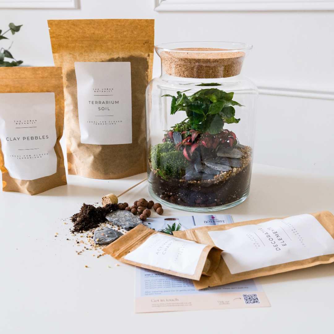 Want to create a lush, self-sustaining terrarium? 🌱✨ No need to search for supplies—we’ve got everything in one kit! Our DIY Terrarium Kit includes premium soil, clay pebbles, decorative elements, and the perfect glass container to bring your mini-ecosystem to life. No experience needed!
Ready to get your hands dirty and unleash your inner botanist? Drop a 🌿 in the comments if you’d love to create your own!
#terrarium #terrariums #terrariummaking #diyterrarium #plantsplantsplants #plantsmakepeoplehappy #miniature #botanic #plantsinglass #planting #houseplant #bottlegarden #landscape #diyterrarium #indoorjungle #flowers #newhobby #terrariumdesign #botanical #terrariumlove #terrarium #plantparenthood #terrariums #terrariumimaginarium
