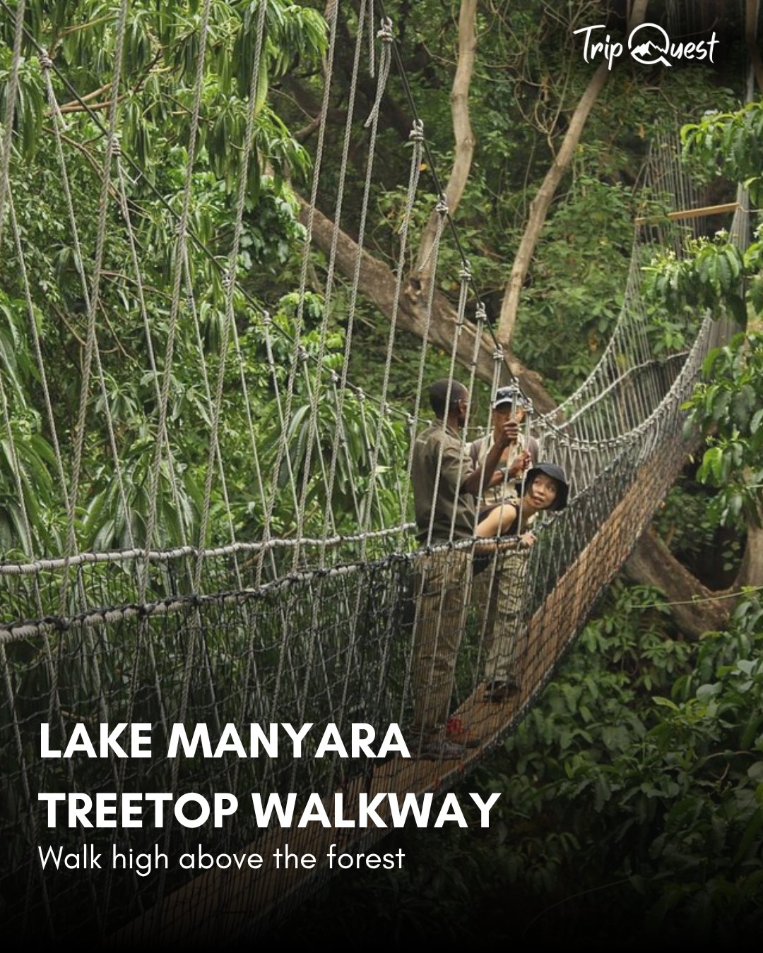 📩 Add the Treetop Walkway to your Lake Manyara visit!
DM us to book or learn more 🌿
#TreetopWalkway #LakeManyara #TanzaniaAdventure #TripQuestAdventures #WildFromAbove