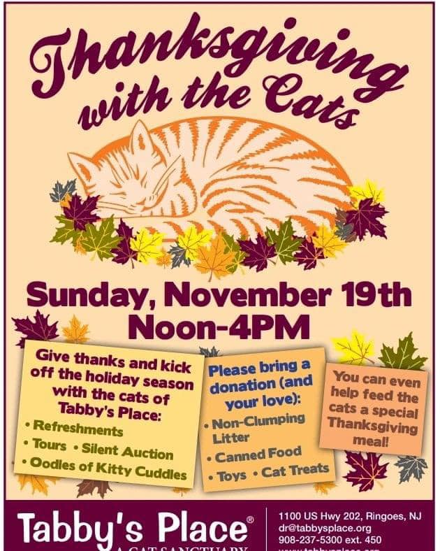 Should be a great afternoon!