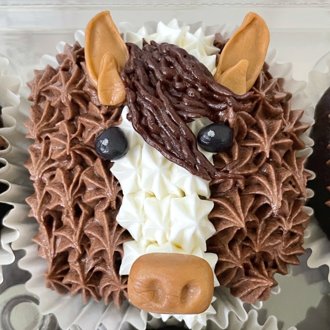 This was definitely one of those cakes where halfway through I started second-guessing every choice I made (just like the stripes the other day!) 😅 SO many little details—but wow, what a statement they ended up making!
I loved the bold pops of color against that clean white buttercream, and don’t even get me started on those tiny horses… how cute are they?? 🐴💛
Planning something magical? Let’s make it unforgettable. Send a message and let’s start designing! 🎂💌
🌐 www.treatsbyallyson.com
FB: Treats by Allyson
IG: @treatsbyallyson
New here? Welcome! 👋🏻 All my treats are dairy, egg, peanut, and tree nut-free—with customizable options like gluten and sugar-free that never sacrifice flavor. Seriously, they’re even better! Don’t believe me? Try one—you’ll never look back!
.
.
.
.
.
#CustomCake #EdibleArt #HomeBakery #CakeInspo #SummerCakeVibes #MarylandBaker #CarrollCountyMD #OneOfAKindCake #CelebrationCake #CustomTreats #SpringDesserts #CakeDecorating #carrollcounty #carrollcountymaryland #weddingcakes #localbaker #localbakery #cupcakes #carrollcountybakery #graduationcakes #manchestermd #westminstermd #graduationseason #SpringFlavors #cakedecoratingclass #graduationcake #hanoverpa #hanover