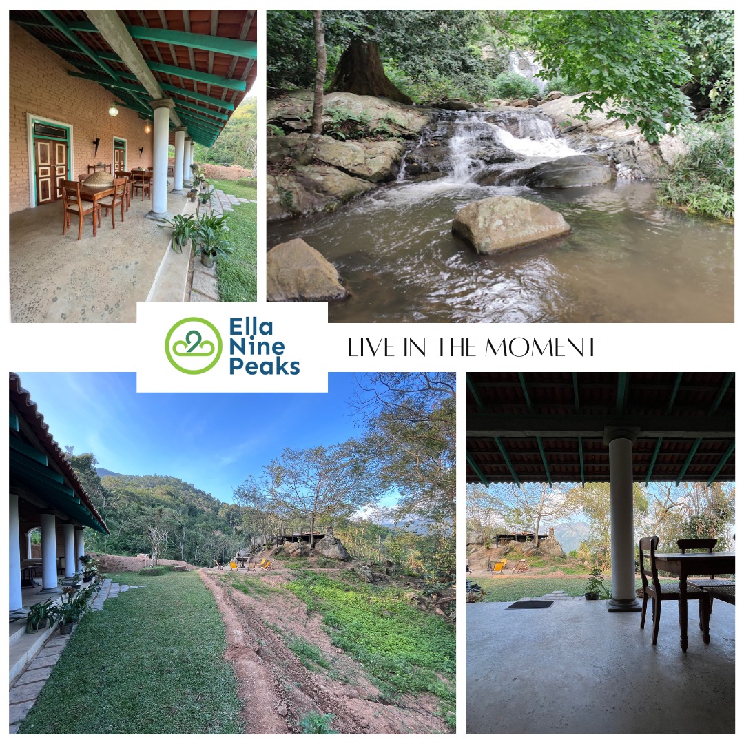 Step off the map and into the wild beauty of Araliya Villa 🌿
A private hideaway nestled 12km from Ella Town, where colonial charm meets pure mountain peace. Wake up to the sounds of the stream, unwind on the verandah, and soak in breathtaking views of the Namunukula range.
🍃 Perfect for nature lovers & quiet seekers
🔥 Bonfire nights | 🍽️ Outdoor dining deck
🏞️ Explore private trails & nearby waterfalls
📍Book your stay: www.ninepeaksgroup.com
#EllaNinePeaks #AraliyaVilla #RusticRetreat #HiddenGemsSriLanka #MountainEscape #ColonialCharm #NatureStay #VisitElla #EcoStay #EllaRetreat