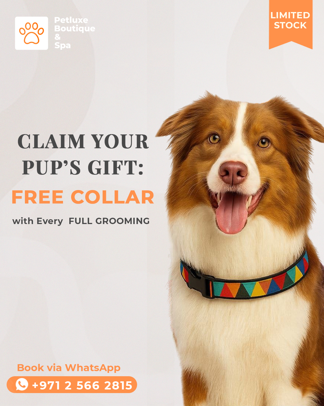 Book any full grooming session and get a FREE collar on the spot — because clean pups deserve cute rewards. 🎁🐾
Dog Grooming Prices (incl. 5% VAT):
✨ Full Grooming for:
• Small Dog – 136.50 AED
• Medium – 168 AED
• Large – 210 AED
🛁 Basic Grooming for:
• Small – 78 AED
• Medium – 105 AED
• Large – 157.50 AED
🚨 Offer valid while stocks last.
Don’t wait — book your grooming today
📍 Visit us at M Floor, Building 22, Al Hisn
📞 Or just Call 02 566 2815
.
.
#PetLuxe #FelineCare #AbuDhabi #Dogs #Grooming #PetGrooming #DogGrooming #DogGiveaway
