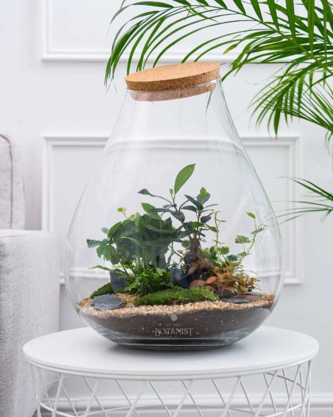 Still searching for the perfect present? Surprise your loved one with a stunning ready-made terrarium—an everlasting gift, just like your love! 💚 Or, make it extra special with a DIY Terrarium Kit, a fun and creative way to build a little world together. 🌿
#terrarium #terrariums #valentinesday
