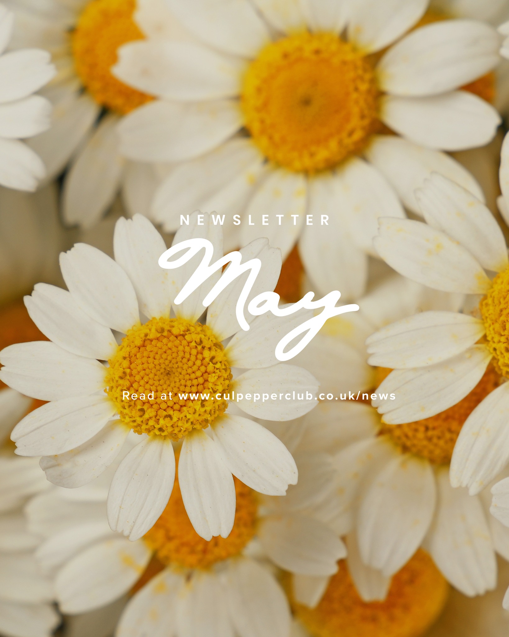 May's Newsletter is here! Read it at our website - link in bio
#culpepperclub #culpeppersuk #news #linedance #linedancing #dance #class #basildon #essex