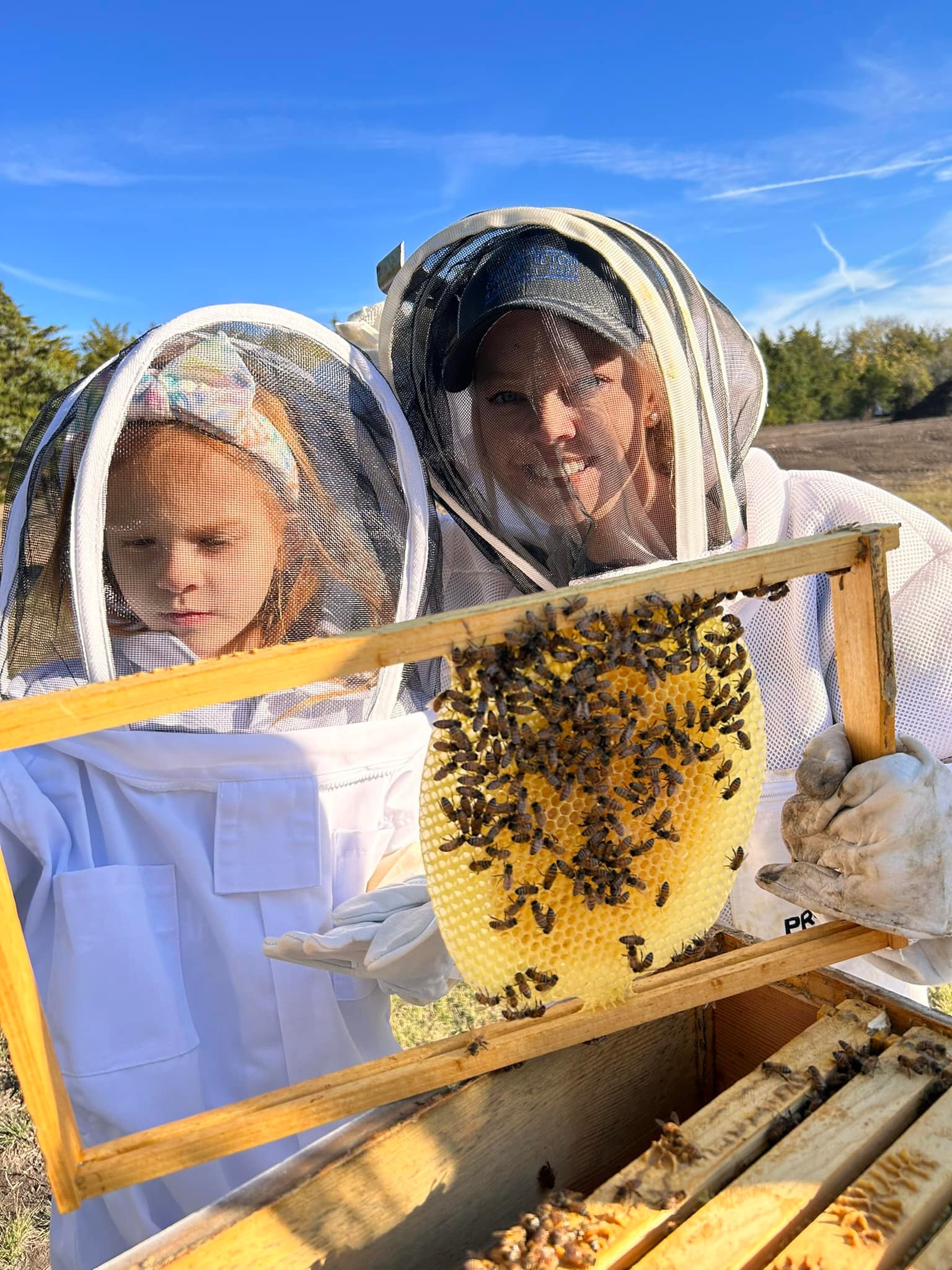 🐝It’s World Bee Day! 🐝 They are one of the most important pollinators, contribute to food security & play an important role in climate change mitigation and environmental conservation. We love our bees! And our honey! 😋🍯 #protectthepollinators #WorldBeeDay2024