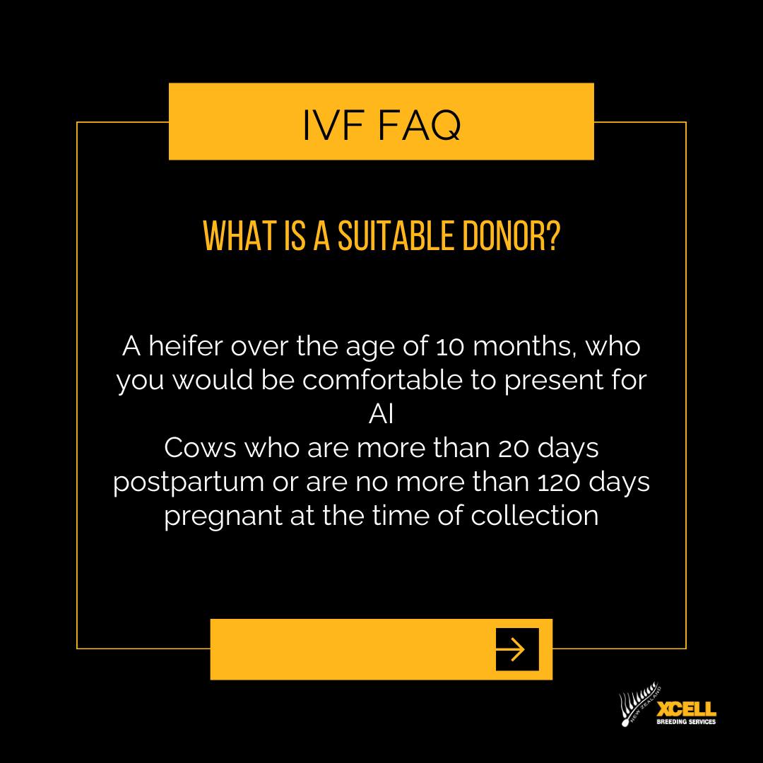 OPU/IVF FAQ Series โ Letโs Break It Down
We get a lot of great questions about IVF, so for this post we are breaking it down to the basics.
Still scratching your head? Send us a message or give Pippa a call to discuss the process further or secure one of the spots below:
๐
Wednesday 9th July
๐
Wednesday 23rd July