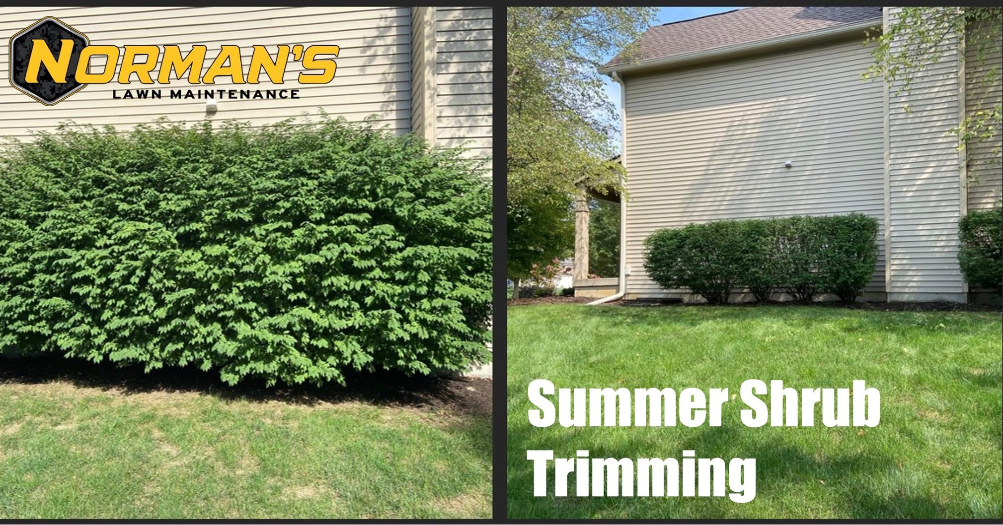 It's time for the mid season trim! Ask us today for a free quote!
317.408.1687
www.normanlawnllc.com