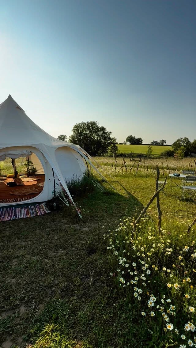 All About Last Night 🌕🍓♐️✨
Manifesting, crystals, reiki, Indian head massage — all the good things as we moved into the energy of the Strawberry Full Moon in Sagittarius. It was such a beautiful evening of self-love and relaxation, created just for you 🌸
We took time to slow down, connect with nature, and be surrounded by like-minded women — all of us craving a moment of calm in a world that never stops. There’s something so special about giving yourself permission to just be — to rest, to heal, to breathe.
This was my first event back this year, and I honestly couldn’t have asked for a better one to return with. English weather is always a gamble, but this evening felt like pure magic.
A huge thank you to @finchingfieldcamping for once again providing the most beautiful space. And a really special thank you to Sian @shonahray for supporting me on this one — it’s usually just me running these events, but I feel like it’s time to grow the crystal healing team. The energy we shared was truly magical 🧚♀️💎💫
New dates are coming soon for the crystal healing events 💎✨ — but next weekend, we’ve got something really special with @iamrachelmckenzie, all the way from California! Another amazing gathering to support you in realigning, finding clarity, and understanding the situations around you with peace in your being.
Can’t wait to see you all again soon.
Love always
Natasha 💚✨
#crystals #crystalhealing #calm #relaxation #mindbodyspirit #alignment #chakras #body #reiki #indianhead #indianheadmassage #crystalmagic #lavenderfields #finchingfield #essex #events #fullmoon #fullmoonrelease #meditation #connection #selflove