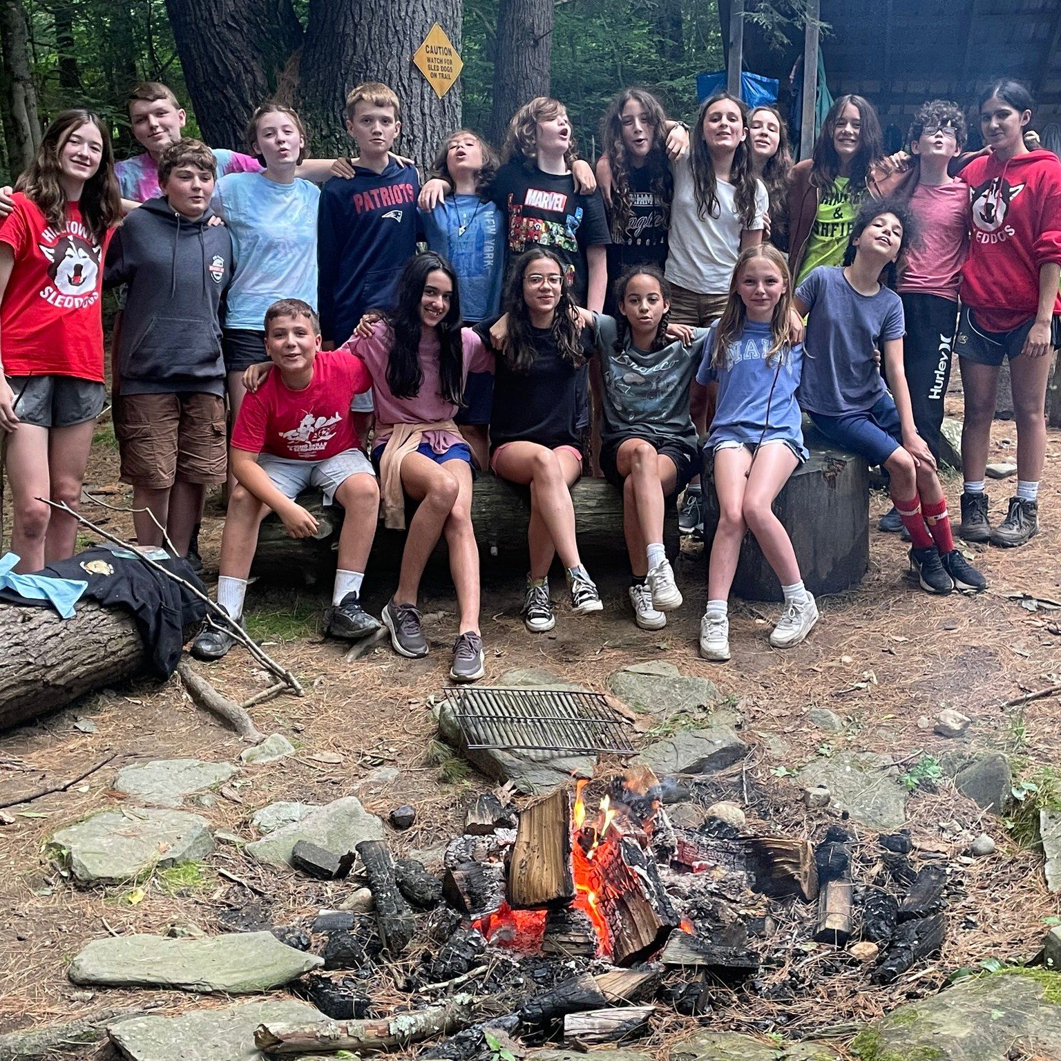 SLED DOG CAMPS! Gather round an evening Bonfire, Swim in the River, Groom, read, make leashes & just play with your dogs in the pens, Be your sled dog on a ganglion...A summer like no other:) www.hilltownsleddogs.com/camps