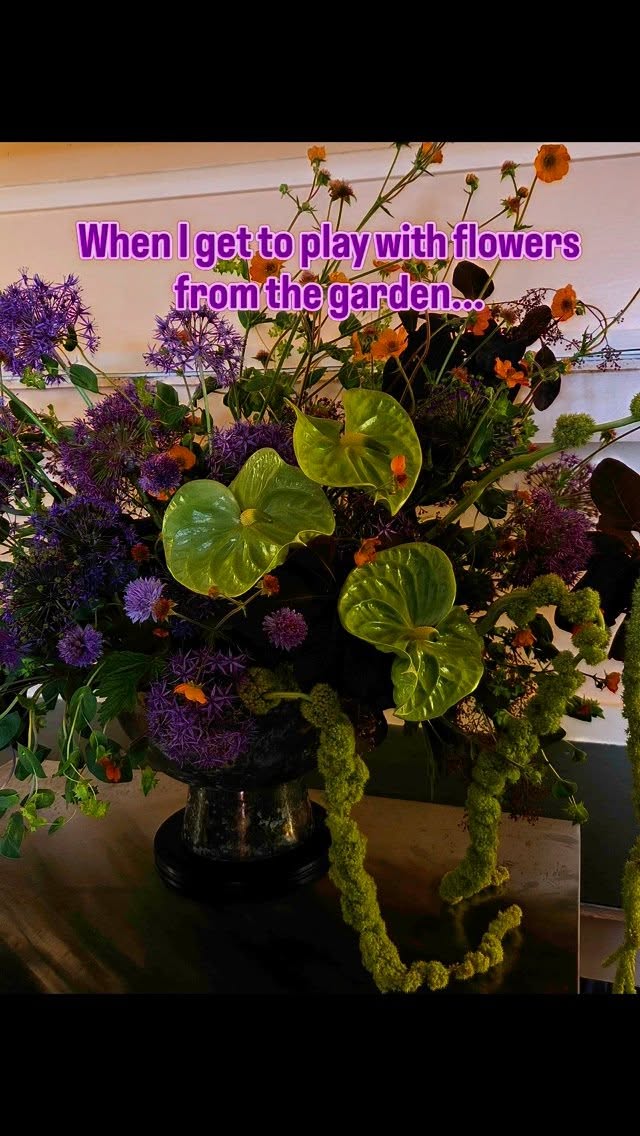 Our biggest goals this year:
1. Take time to create for ourselves using flowers from our garden and leftovers
2. Have fun! I tend to hyperfocus and get too serious when in the middle of the busy season, but our work and the whole experience is so much better when I lighten up.
I heard a quote from the host of my favorite Ram Dass podcast on the @beherenownetwork:
✨️This is way too important to take seriously✨️
Now it's on the studio wall as a reminder for the team. The outcome is a million times better when we commit to enjoying the process and surrender to the flow - so I'm keeping that thought in mind as a mantra for 2025.
.
.
.
.
.
#capecodflorist #capecodwedding #capecodlife #wychmerewedding #wiannowedding #wequassettwedding #chathambarsinnwedding #dennisinnwedding #pelhamhouseresort #weddingtips #weddinginspiration #weddingflowers #floweraddict #floraldesign