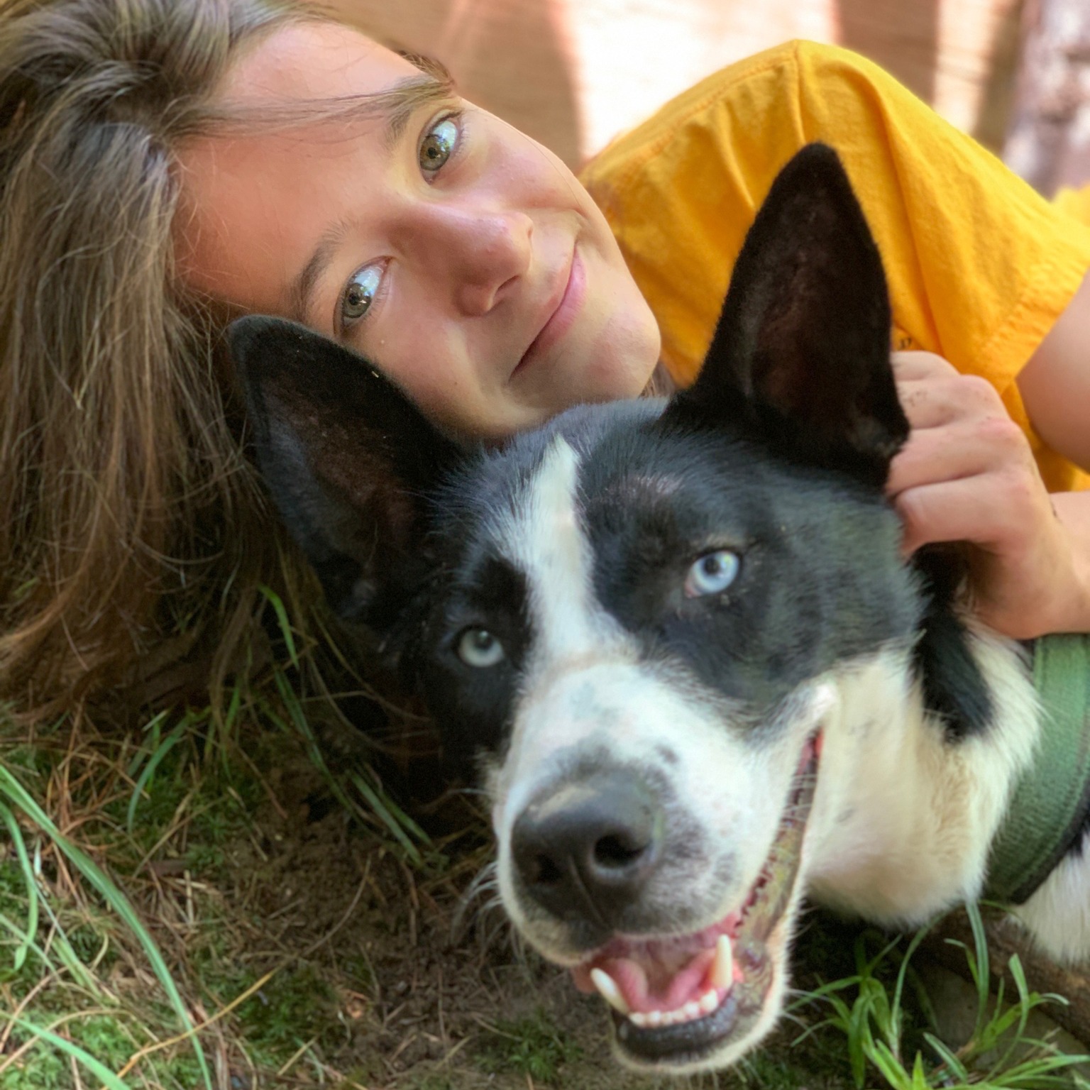 SUMMERSLED DOG CAMPS are soon upon us! Weeks 2, 4, 5 ,7 & 8 still have 1 or 2 spots left... www.hilltownsleddogs.com/camps *Find your new furry BFF:)