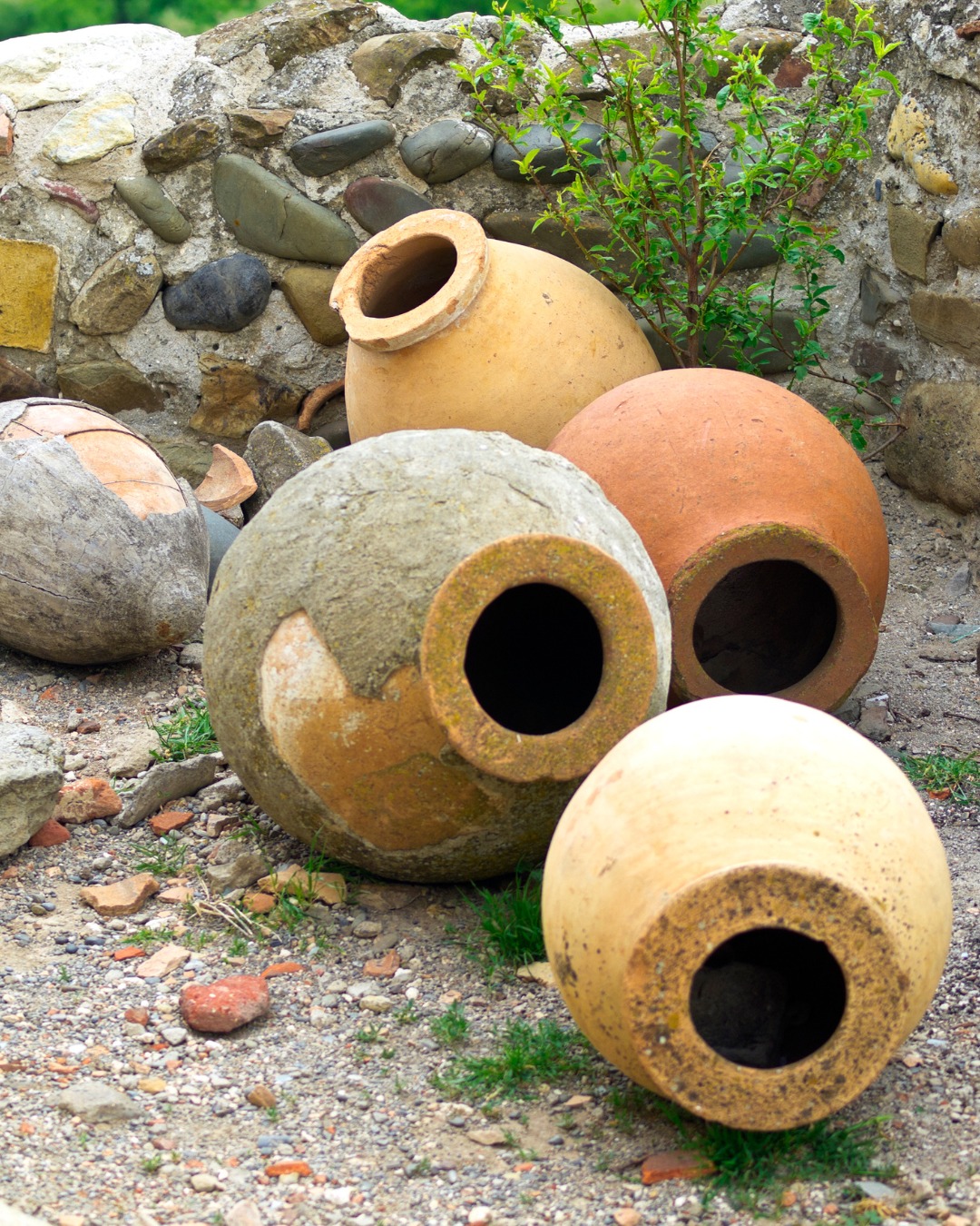 These clay vessels, called qvevri, have been used for 8,000 years to make wine. Each bottle in our club carries a whisper of that tradition.
Imagine the soil, the grapes, the craft - hand-dug, hand-filled, hand-loved...
A bottle of Georgian qvevri wine is something truly special! Have you tried qvevri wine before?