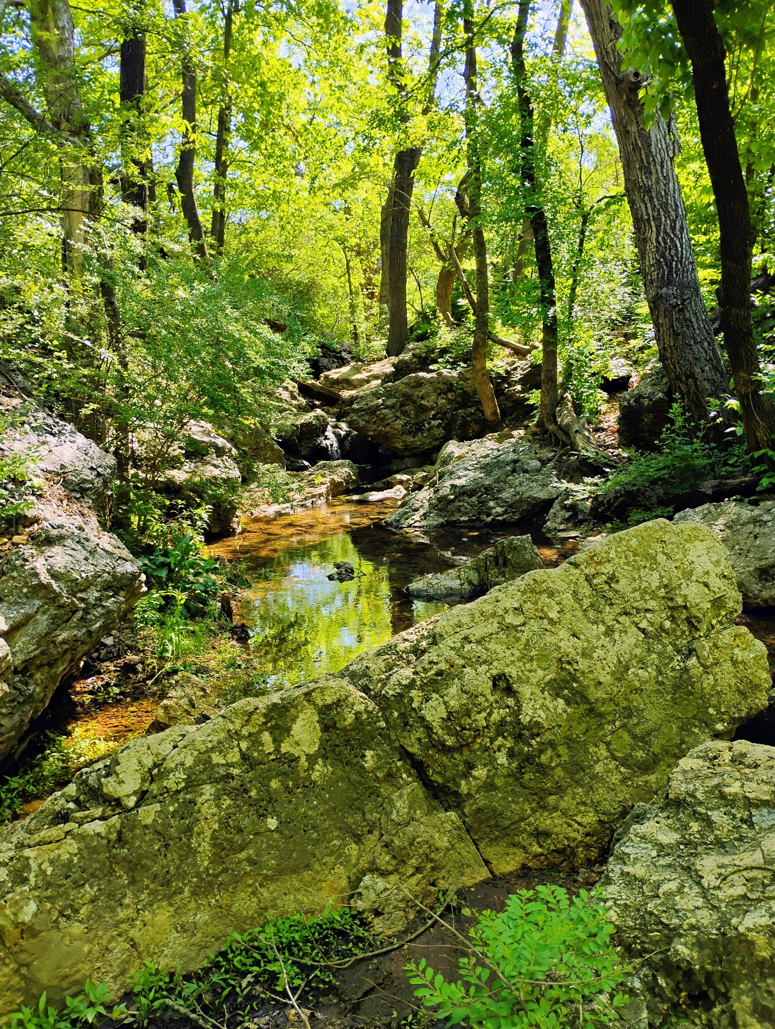 I love to hike. This is one of my favorite places to stop and think. #authorsofinstagram #writersofinstagram #readingcommunity #peaceful #forest #bookstagram #storytime #storycraft #naturelovers #jbrummett #voicesfromthetrail