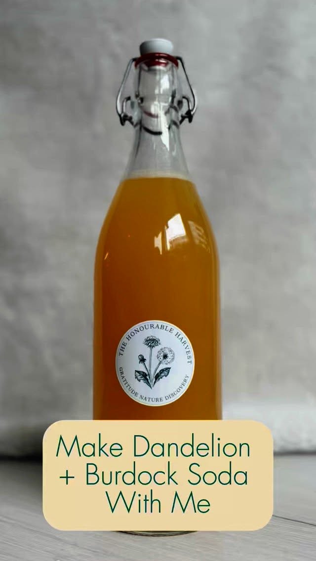 Have you ever made your own soda?
Dandelion soda is such an approachable soda to start with because most people know what they look like! If you aren’t sure or don’t know where to start I can totally help!
Visit my website (link in bio) or dm me and I can send you a wild yeast starter recipe to get you in your way! This recipe can be found on my blog!
#ferment #soda #homemade #wildsoda #wildbychoice #foraging #foraged #fizz #fizzy #yum