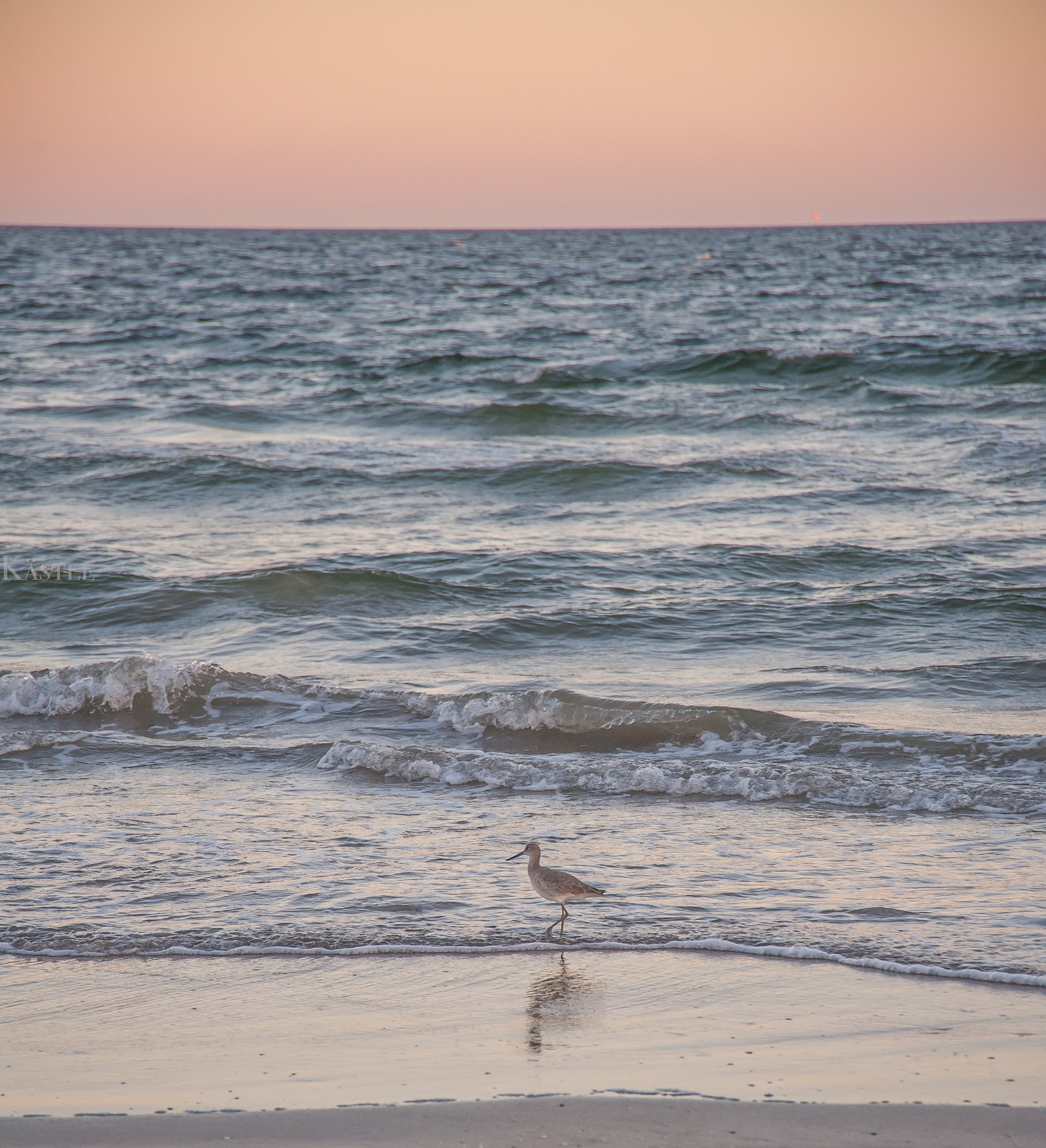 First day of summer, and we’re already dreaming of salty air, sandy toes, and sunset strolls.
At Villa Blue, summer looks like slow mornings, beach days that stretch forever, poolside grilling, and golf cart rides just because. Whether you’re planning your next family getaway or a weekend escape with friends, the season is officially on.
Let the long days, warm nights, and memory-making begin.