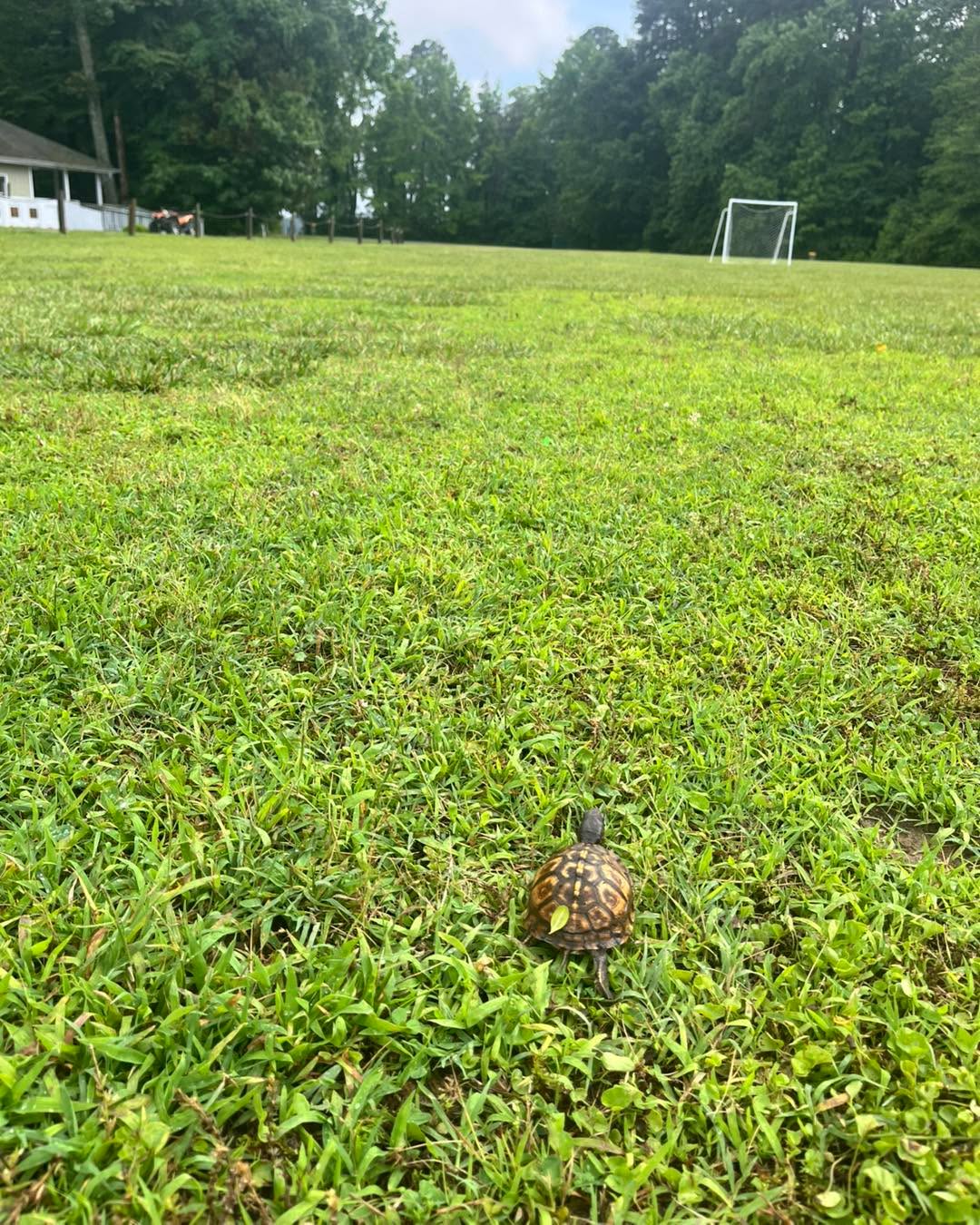 Our first camper arrived a few days early. We gave him a snack and he’s coming back on Sunday for camp session 1!