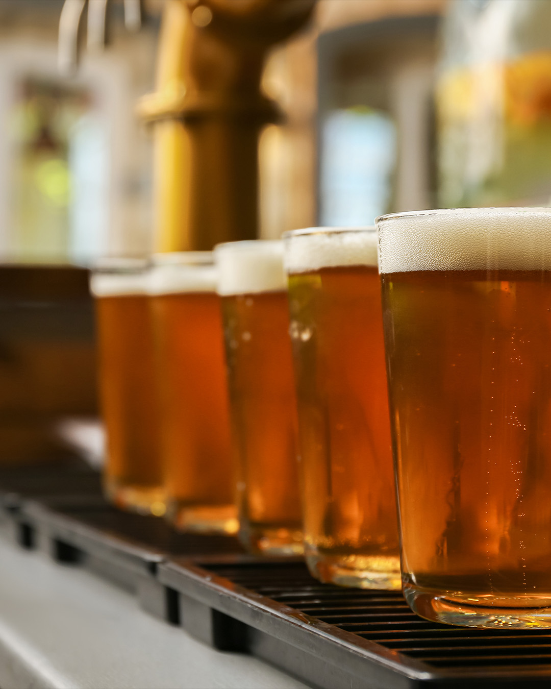 One for you, and four for your mates.
Line ’em up, make it Official.
#OfficialBeerCo #DrinkOfficial #AussieBeer #GoldCoastBrewed #RoundForTheTable #CraftNotComplicated #BeerLineUp #OfficiallyGood #PubVibes #timeforabeer
