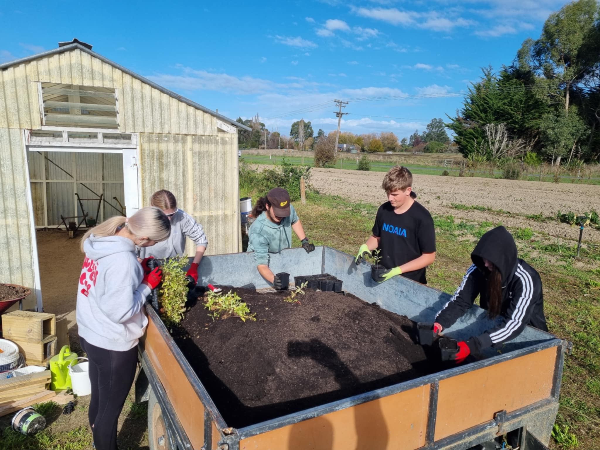The tauira/students at Noaia in Tuahiwi started on a new adventure last week, potting up several hundred plants for the nursery they're developing. The plants will be planted on the property next year.
Huge thanks to Riverside Horticulture in Boys Road for giving Noaia the seedlings and pots. In time the students will grow their own seedlings and cuttings but it's great to have some plants to grow on in the meantime. I'm glad the Biodiversity Trust could help bring this together.
#riversidehorticulture #noaia