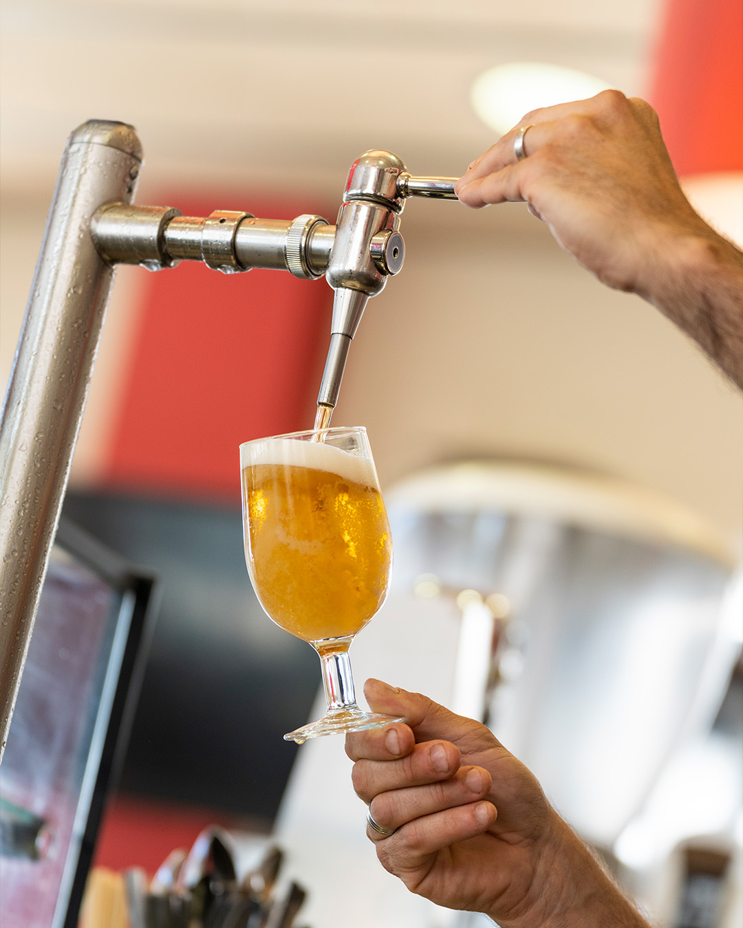 From tap to glass, it’s always the right call.
Golden, cold, and officially yours.
#OfficialBeerCo #FreshPour #DrinkOfficial #AussieBeer #GoldCoastBrewed #BeerOnTap #CraftNotComplicated #Pourfection #OfficiallyGood #BeerThatHits