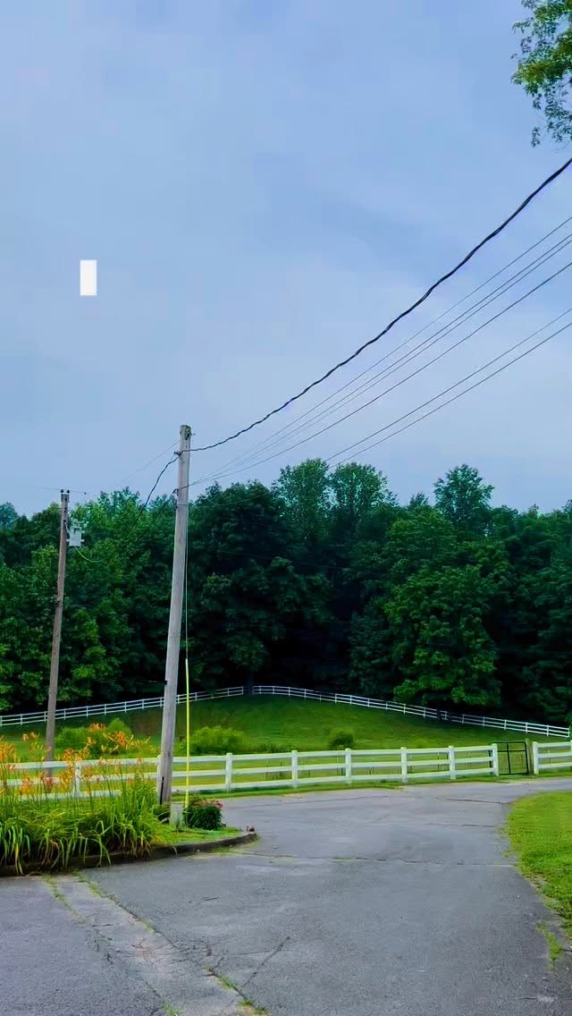 I’ll be at the 4-H Teen Conference over the next few days, so I figured I’d show y’all what I’m up to while I’m here. 🍀
The actual conference doesn’t start until tomorrow, so today we just killed time while my sister was in her 4-H meeting. Before meeting back up with her, we stopped by @streetscenevintage where I found the cutest tank top, and my favorite stop of the day @vintagetherapy_lex I scored some jorts and a zip-up. 👖
Stay tuned for more little updates throughout the week!