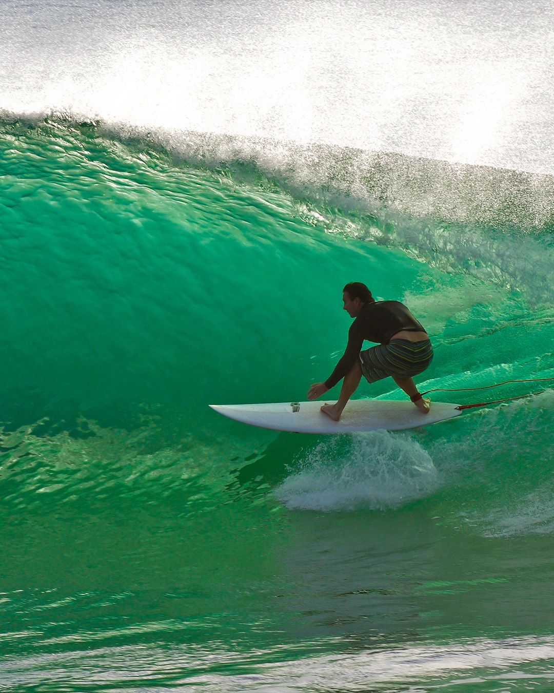 Tunnel vision.
This is the Gold Coast in motion—and when the ride’s done, it’s time for an Official.
Surf hard, sip easy.
#OfficialBeerCo #GoldCoastBrewed #DrinkOfficial #AussieBeer #SurfAndSip #WaveLife #CraftNotComplicated #OfficiallyGood #BeerAfterSurf #TimeForABeer