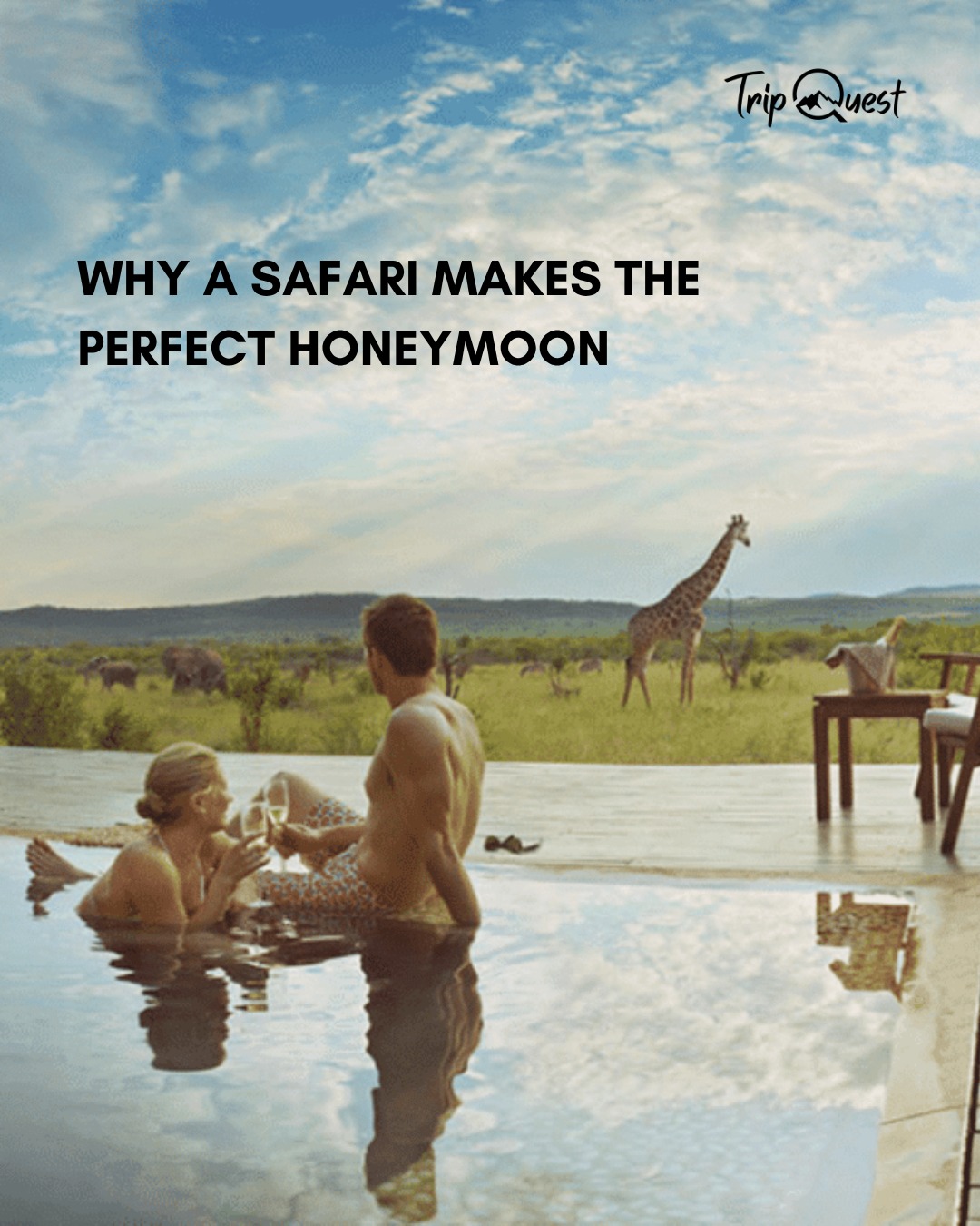 💘 First trip as newlyweds?
Why not throw in lions, sunsets, and a private safari tent? 😉
Love looks even better in the wild.
#SafariHoneymoon #WildlyInLove #TripQuestAdventures #JustMarriedVibes