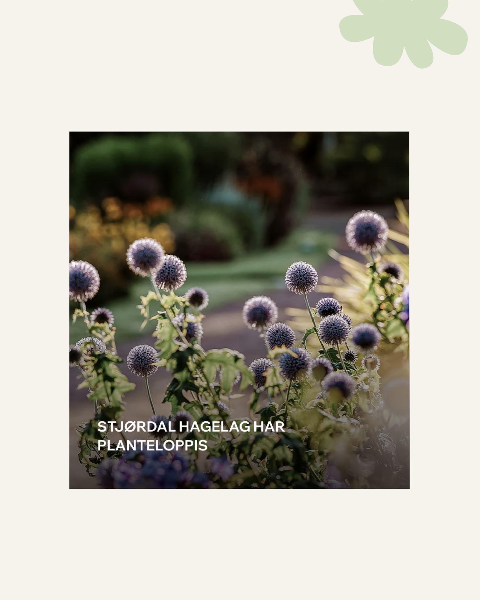 I morgen!!🤗👌🌞 Noe for liten og stor på Museet, vi åpner kl 12!🌱 #opplevtrøndelag #Hvaskjeritrøndelag #4h #Stjørdal