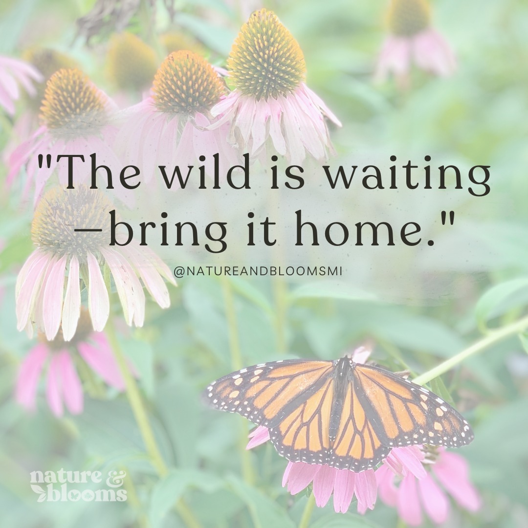The wild isn’t far—it’s right outside your door. 🌾
Plant natives and invite nature back home.
🌿 Tag a friend who’s ready to rewild.
📌 Save this post for front yard inspiration.
🔁 Share to grow the movement.
www.natureandblooms.com
📷 Purple Cone Flower in our front yard landscape with a Monarch visitor!
#WelcomeWildlife #NatureAndBlooms #RewildYourYard #NativeIsBeautiful