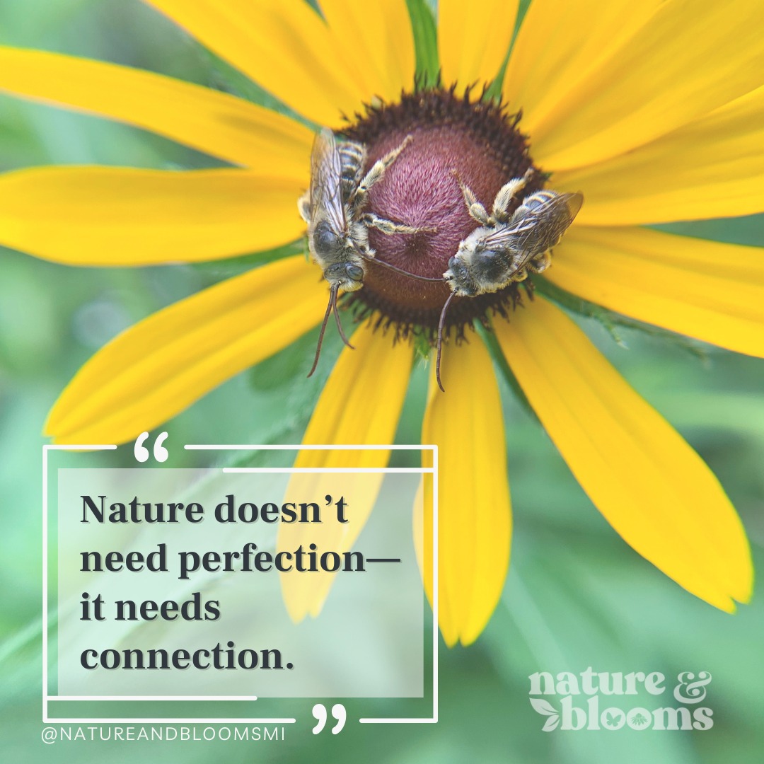 Perfect lawns are lifeless. Messy gardens hum with life. 🐝
Let’s stop striving for control and start creating connection.
🌱 Tag a fellow wild gardener.
📌 Save this if you needed this reminder today.
🔁 Share to challenge the idea of ‘perfect’ landscapes.
#ReconnectTheWild #NativeGardening #NatureAndBlooms #WildIsBeautiful