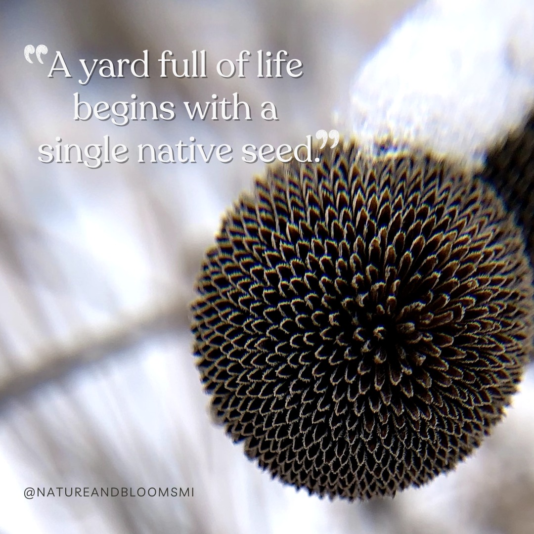 It all starts with one seed. 🌼
Plant it, and you’re creating a ripple of life—bees, butterflies, birds... and hope.
🌿 Tag a new gardener who's ready to make a difference.
📌 Save this post for planting season inspiration.
🔁 Share to encourage someone to start small.
#StartWithASeed #NatureAndBlooms #NativePlants #PollinatorGarden