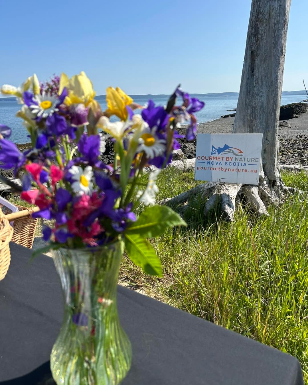 Wild food education class is in…at the beach! A little foraging and then a cooking class with students from British Columbia!