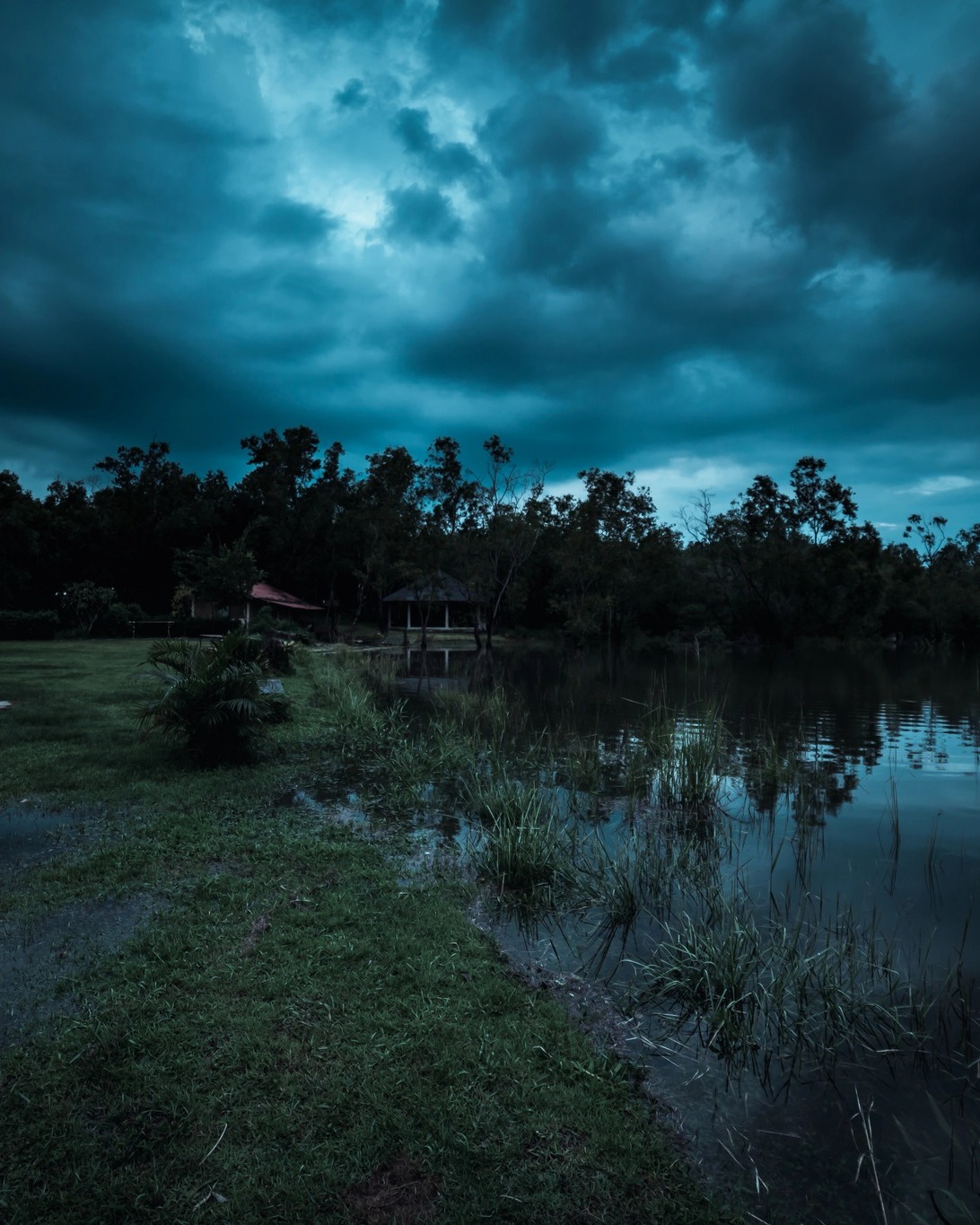 “But the children,” I whispered. “They don’t deserve this. They’re innocent.”
“I was innocent, too, once upon a time,” she whispered back, her voice like bells. “Blood calls to blood, and I will have theirs.”
Excerpt from The Sister’s Curse by Nicola Solvinic from @berkleypub. Now available for pre-order: (Link in bio)
#nicolasolvinic #thesisterscurse #mysteryauthor #crimeauthor #thrillerwriter #criminology #crimefiction #crimethriller #crimenovel #suspensenovel #thrillerbook #murdermystery #mysteryreads #booklovers #bookclub #newrelease #bookreview