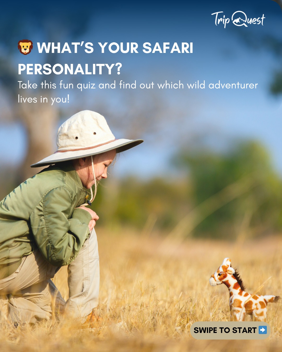 Tag a friend who’d be the Wild Romantic or the Curious Naturalist! 🌿🦓
#SafariQuiz #IntoTheWild #GameDriveGoals #SafariVibes #AfricanAdventure