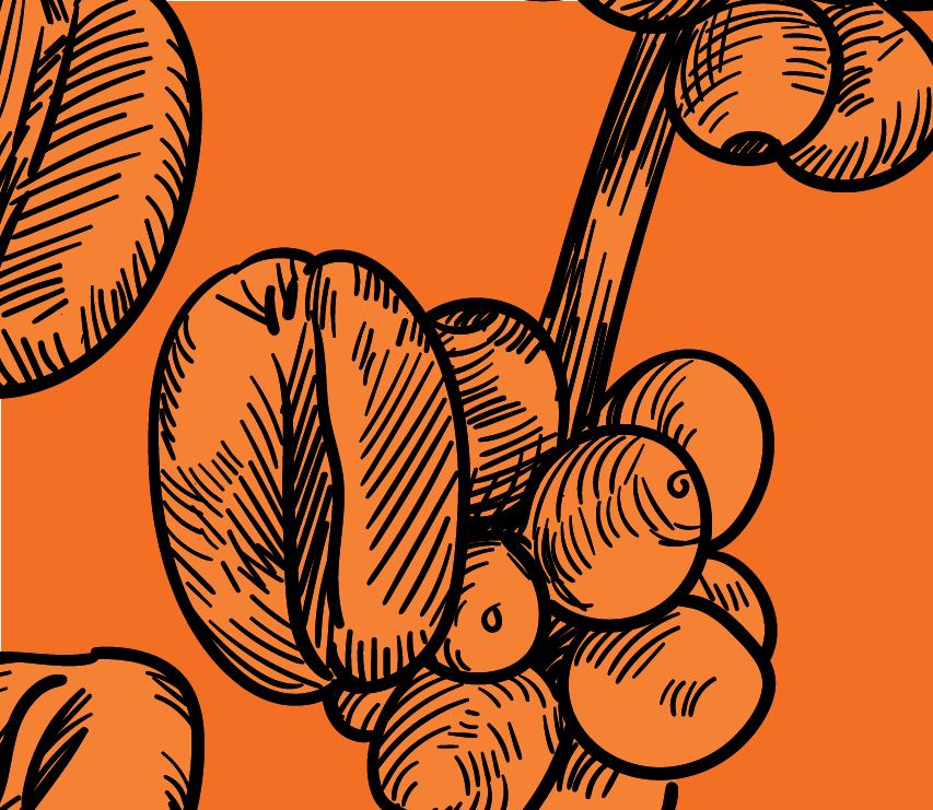 Bright, sparkling, honeyed, sun, limited, June 24
.
.
.
#coffeeculture #terroircoffeeroasters #probat #coffeebreak #CoffeeLove #capetownvibes #arabica #mountainbike #instacoffee #lamarzocco #espresso #coffee #coffeeshop #capetown #flatwhite #durbanville #coffeelover #coffeetrip