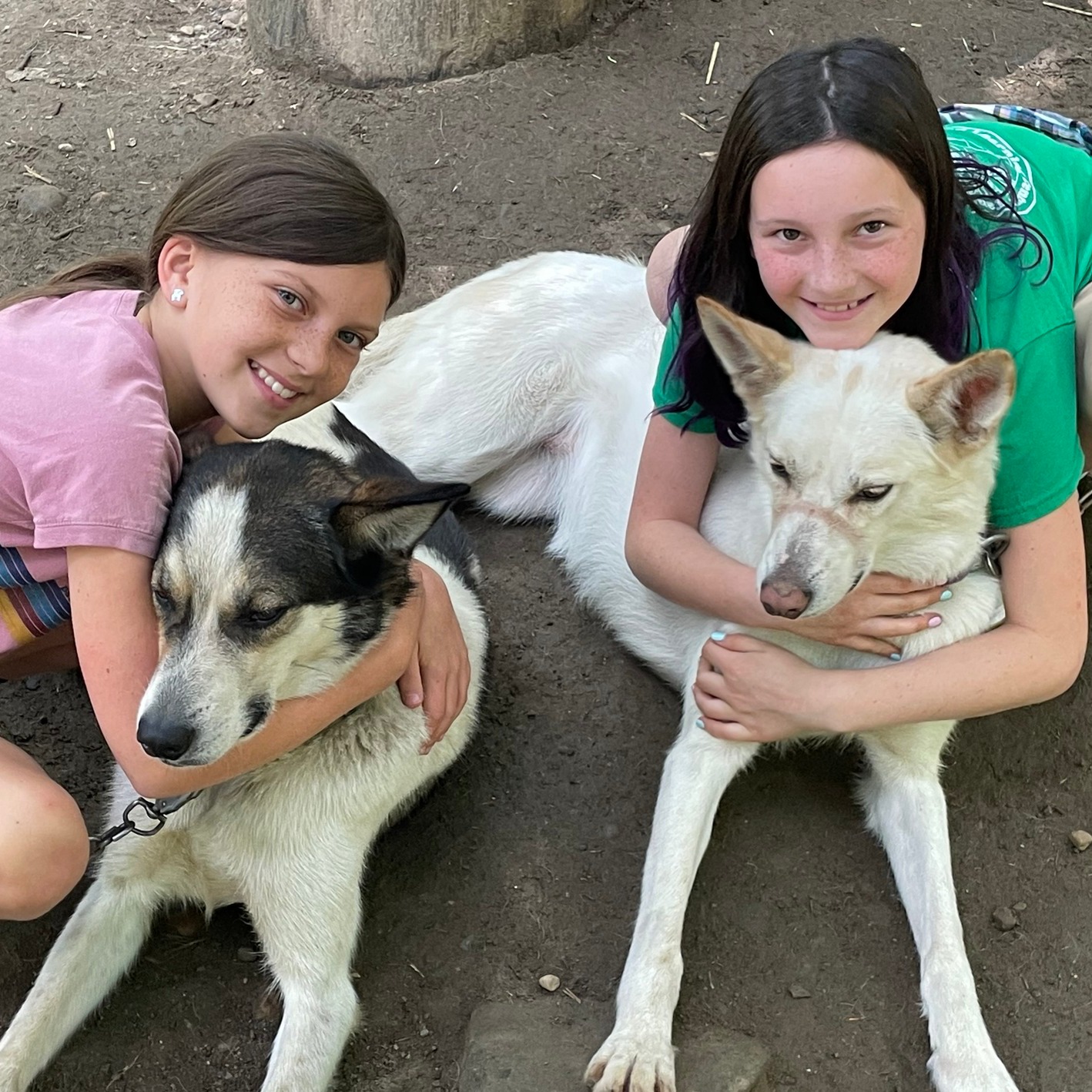 GALS ONLY WEEK 5, JULY 21-25. 2 Spots Left... So much TLCl! www.hilltownsleddogs.com/camps